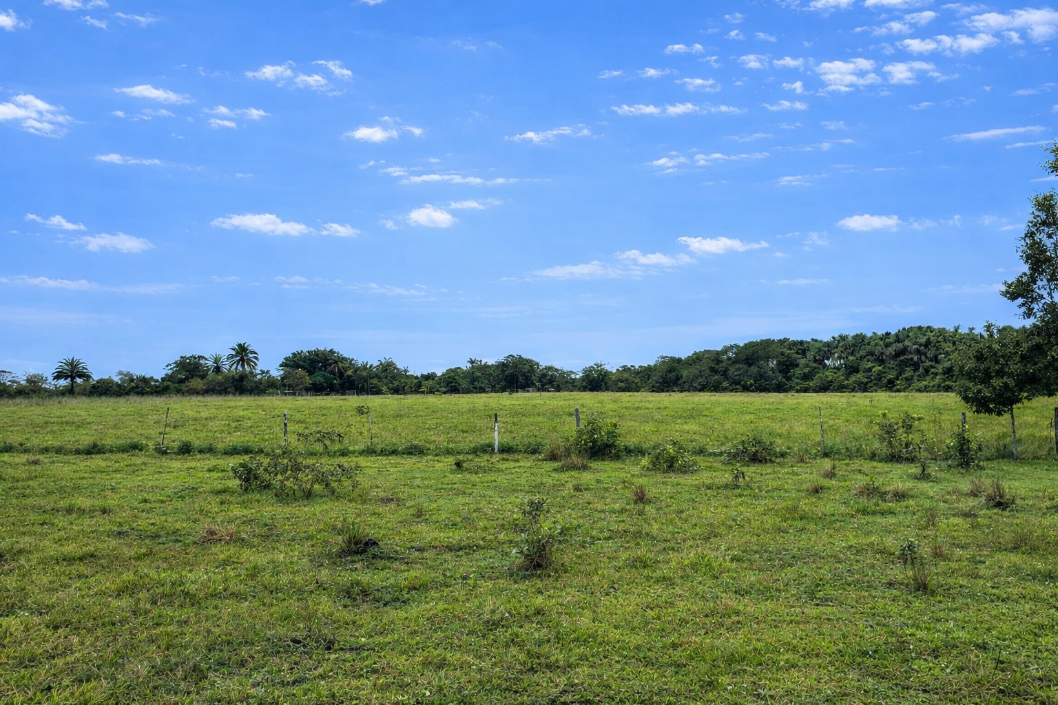 Finca en Vda Campoalegre - Imagen 6