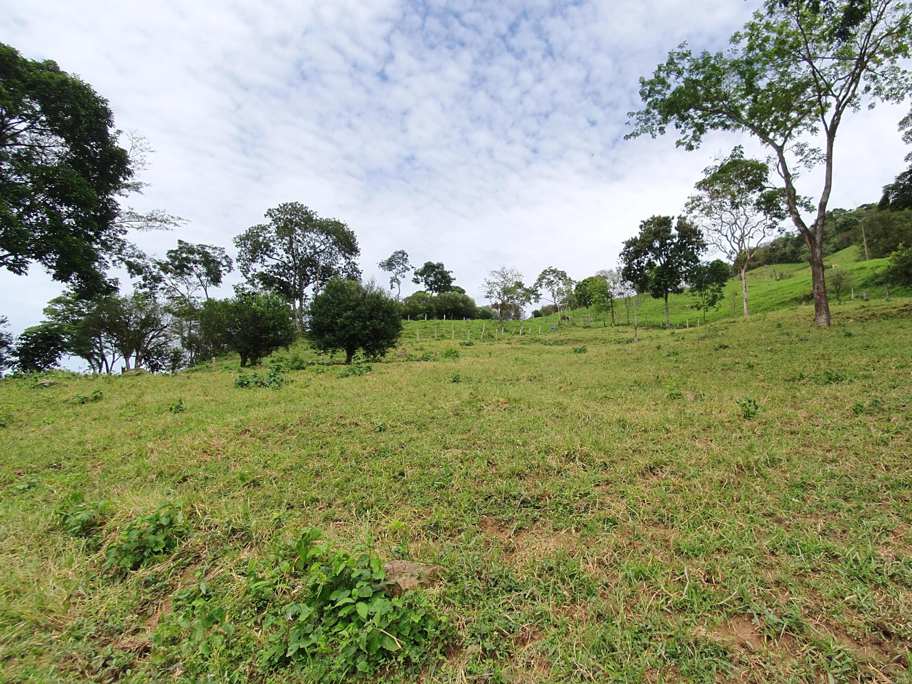 Finca en venta vía Restrepo - Imagen 15