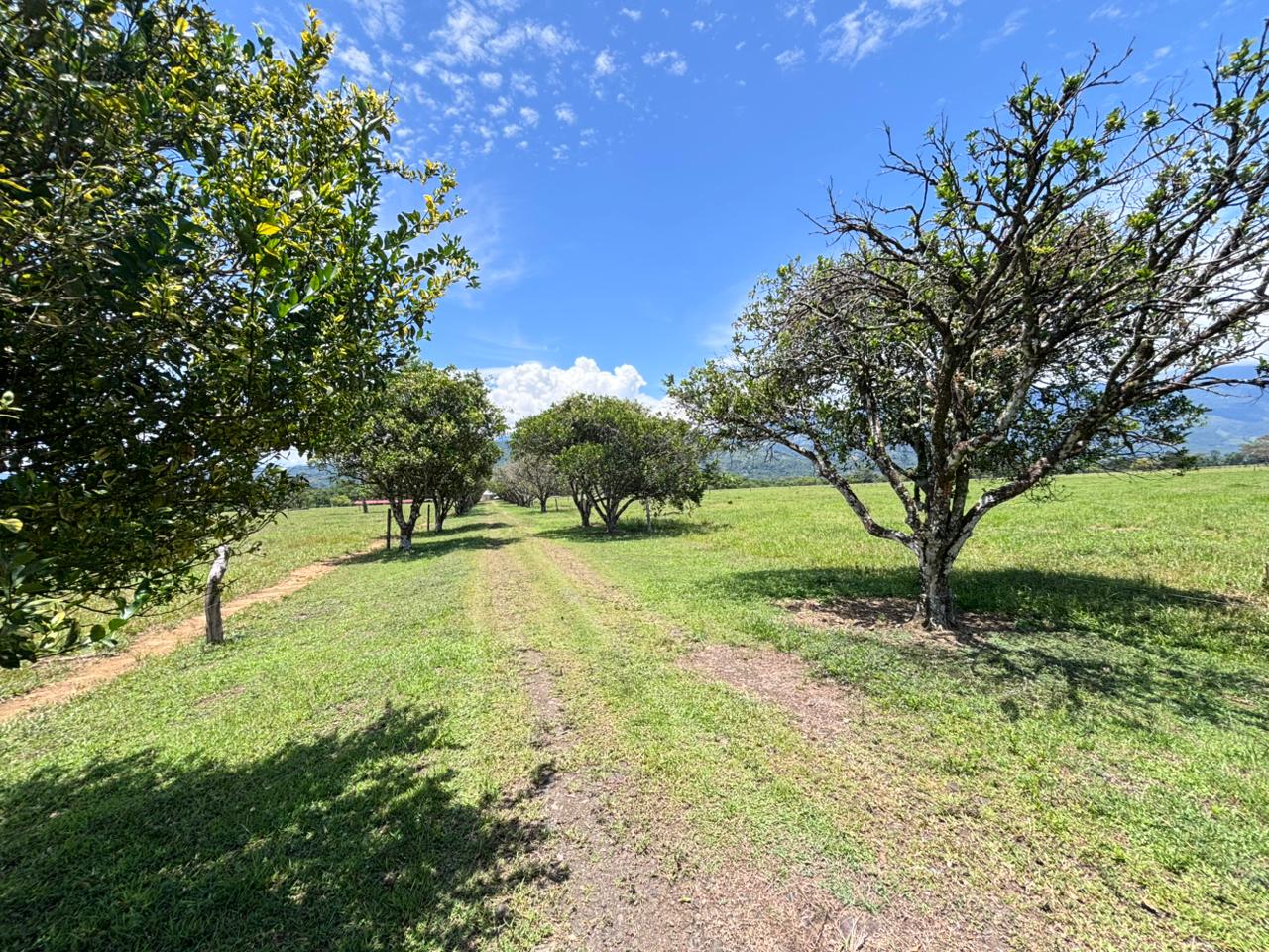 Finca en Vereda Brisas de Upín - Imagen 18