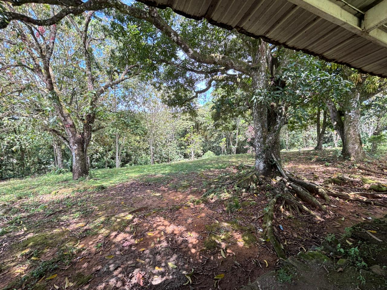 Finca en Vereda Brisas de Upín - Imagen 12