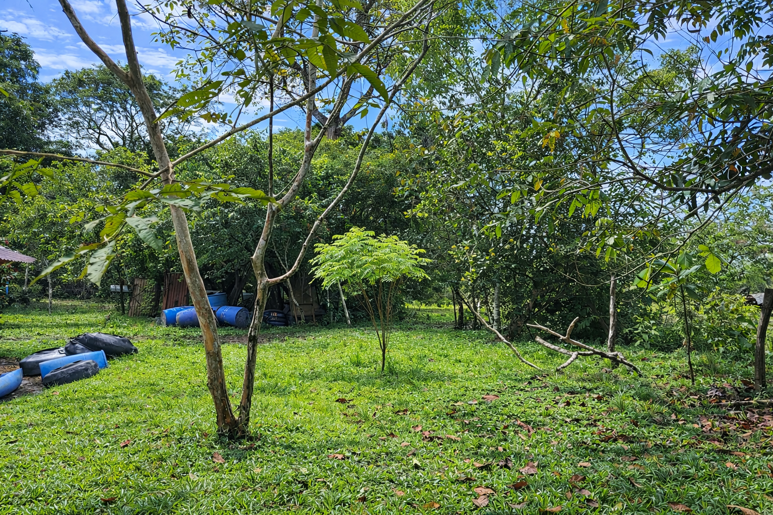 Finca en Vda Campoalegre - Imagen 4