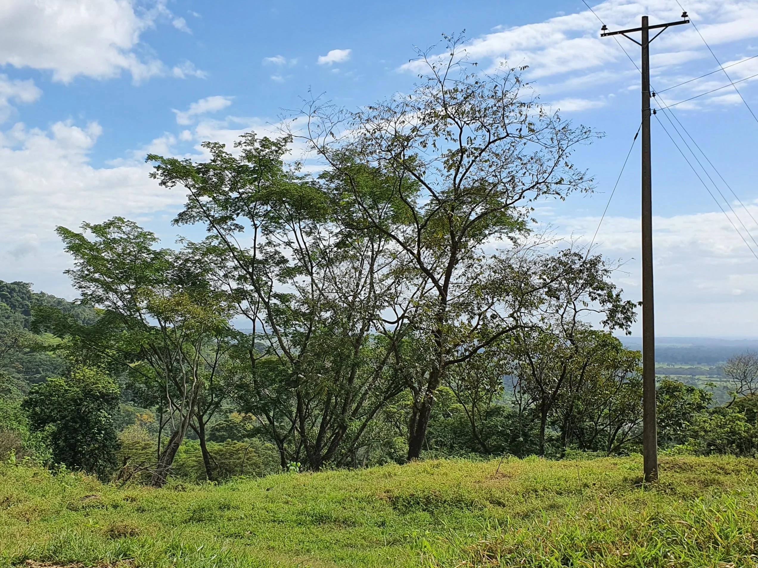 Finca en venta vía Restrepo - Imagen 14