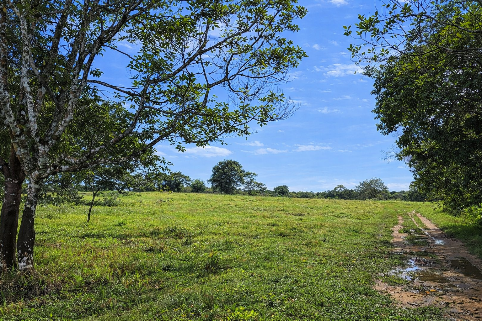 Finca en Vda Campoalegre - Imagen 8