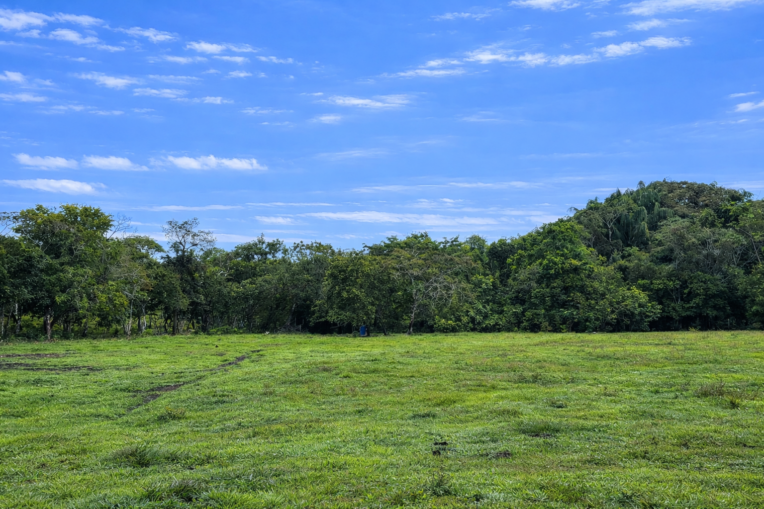Finca en Vda Campoalegre - Imagen 12