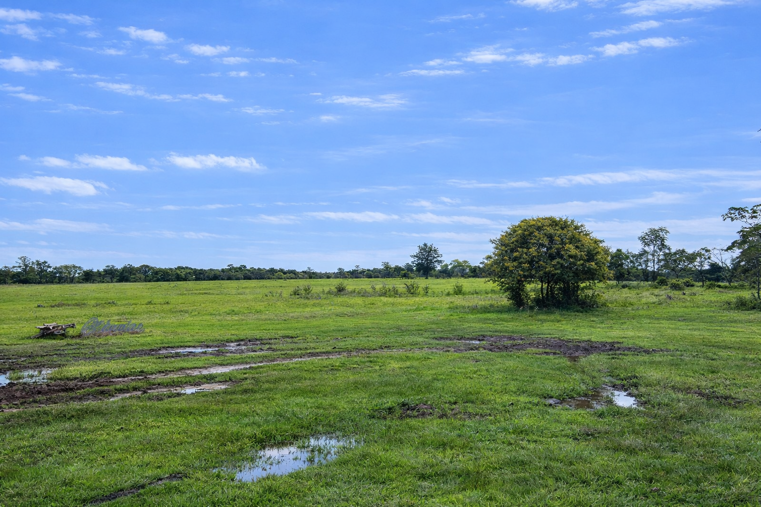 Finca en Vda Campoalegre - Imagen 10