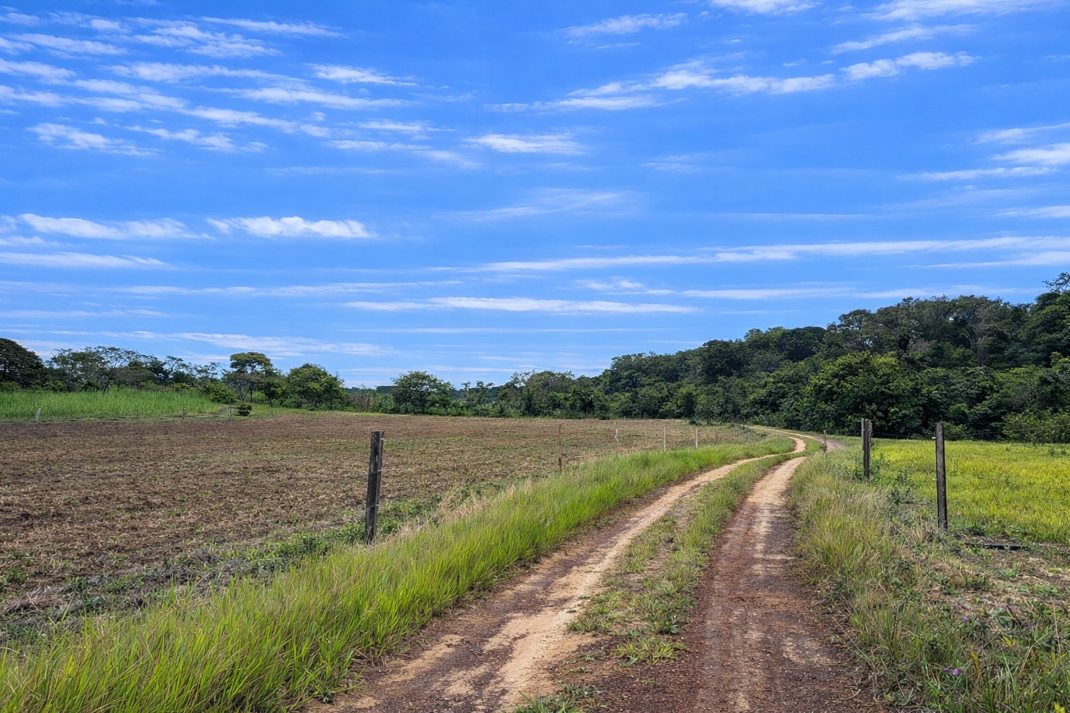 Finca en Vda Campoalegre