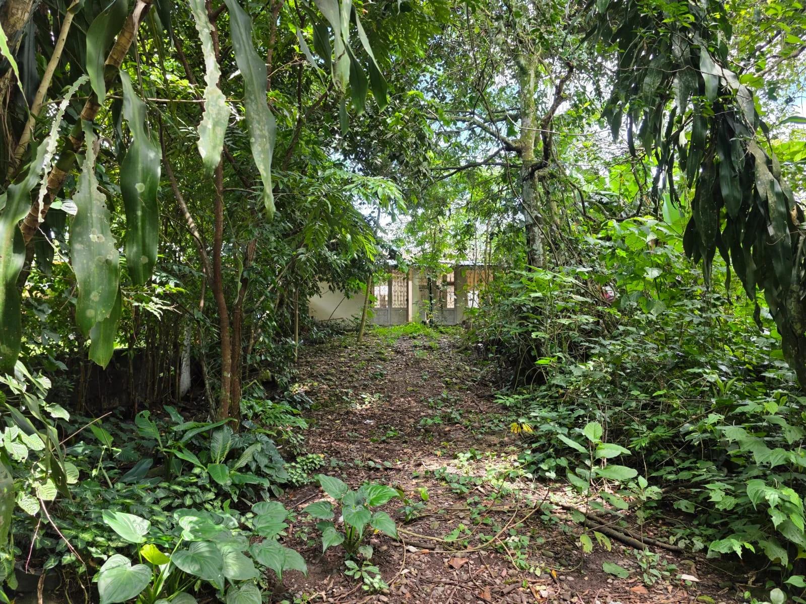 Casa en venta en vereda Guacavía - Imagen 10