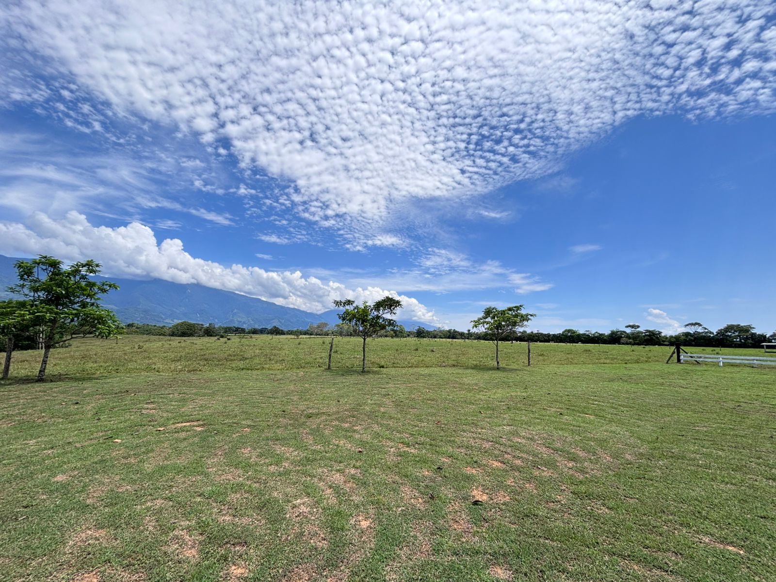 Finca en Vereda Brisas de Upín - Imagen 15