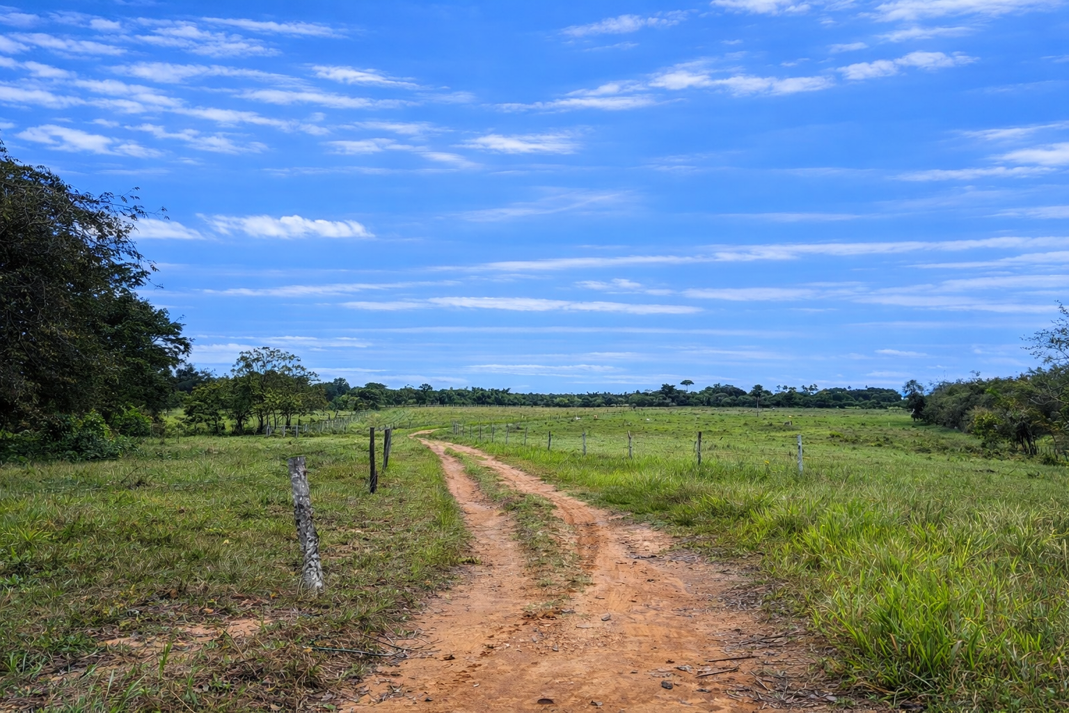 Finca en Vda Campoalegre - Imagen 17