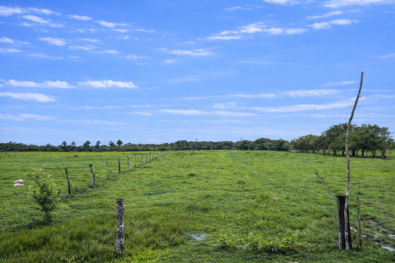 Finca en Vda Campoalegre - Imagen 11