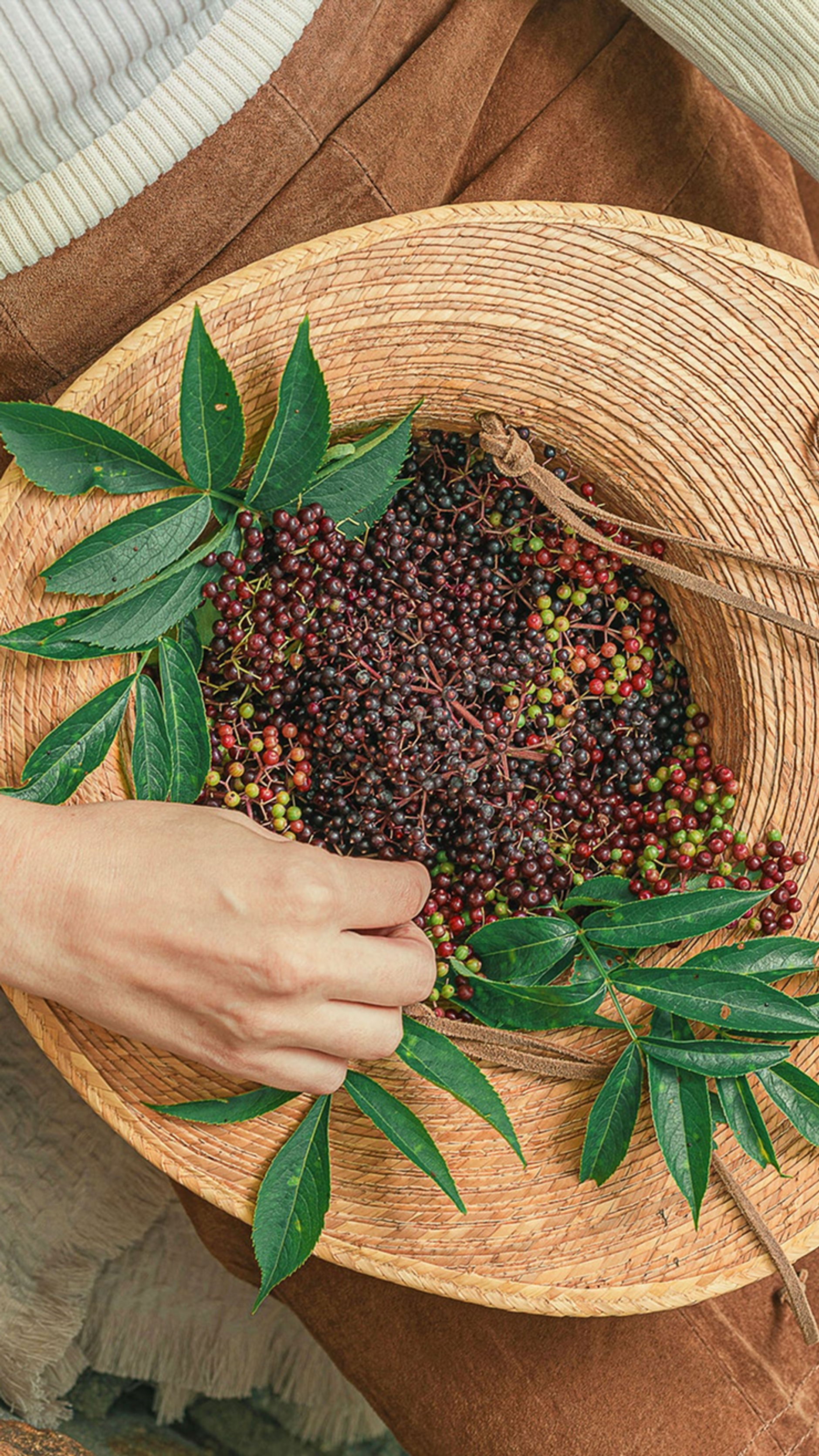 Basket of herbs 
