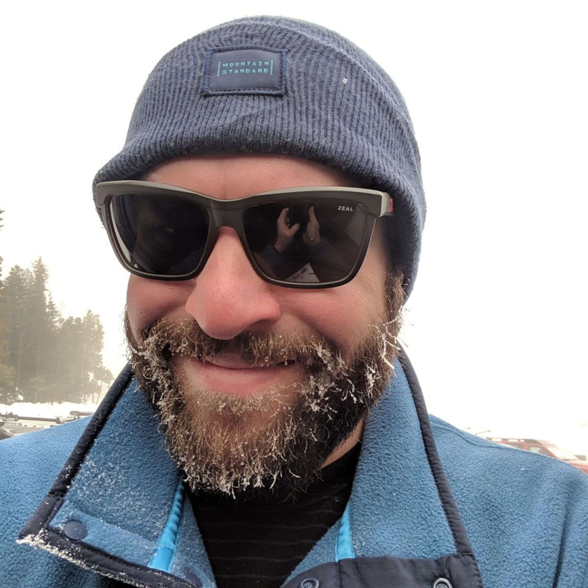 Steve Barbera, Domaine