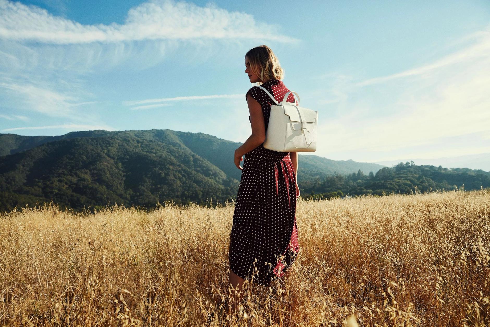 Senreve Model in a Field