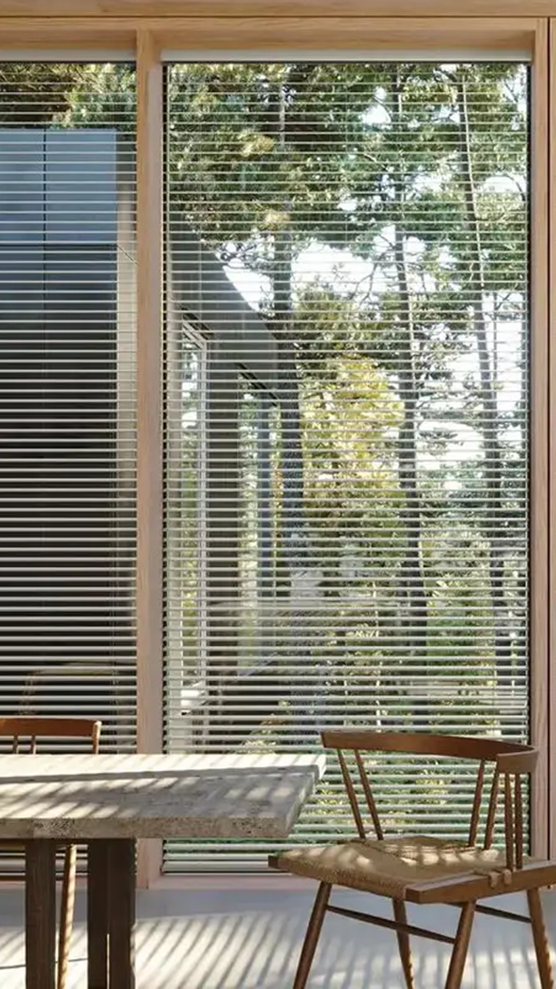 Hunter Douglas natural light through shades