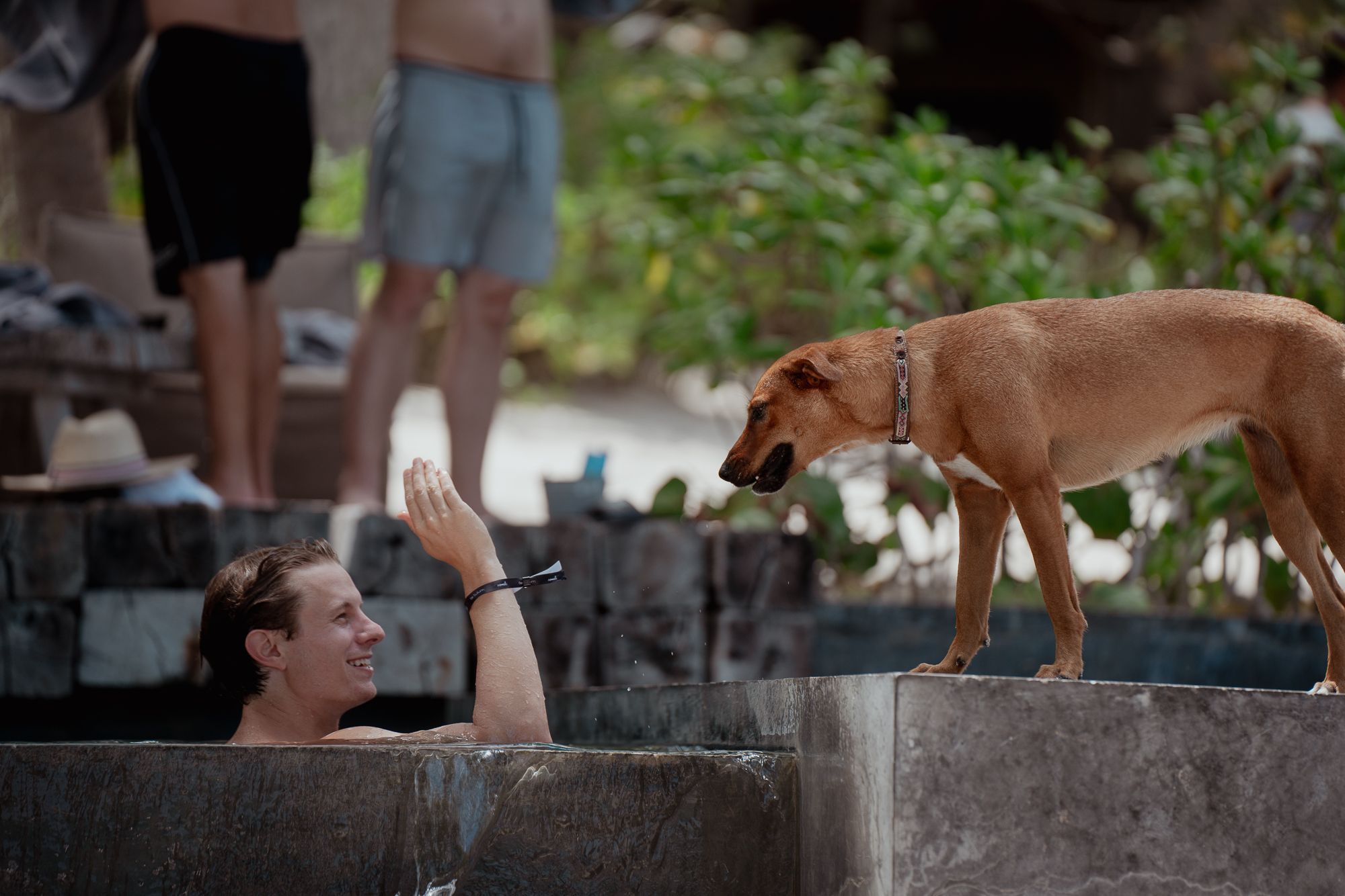 Palmer saying hi to a local dog