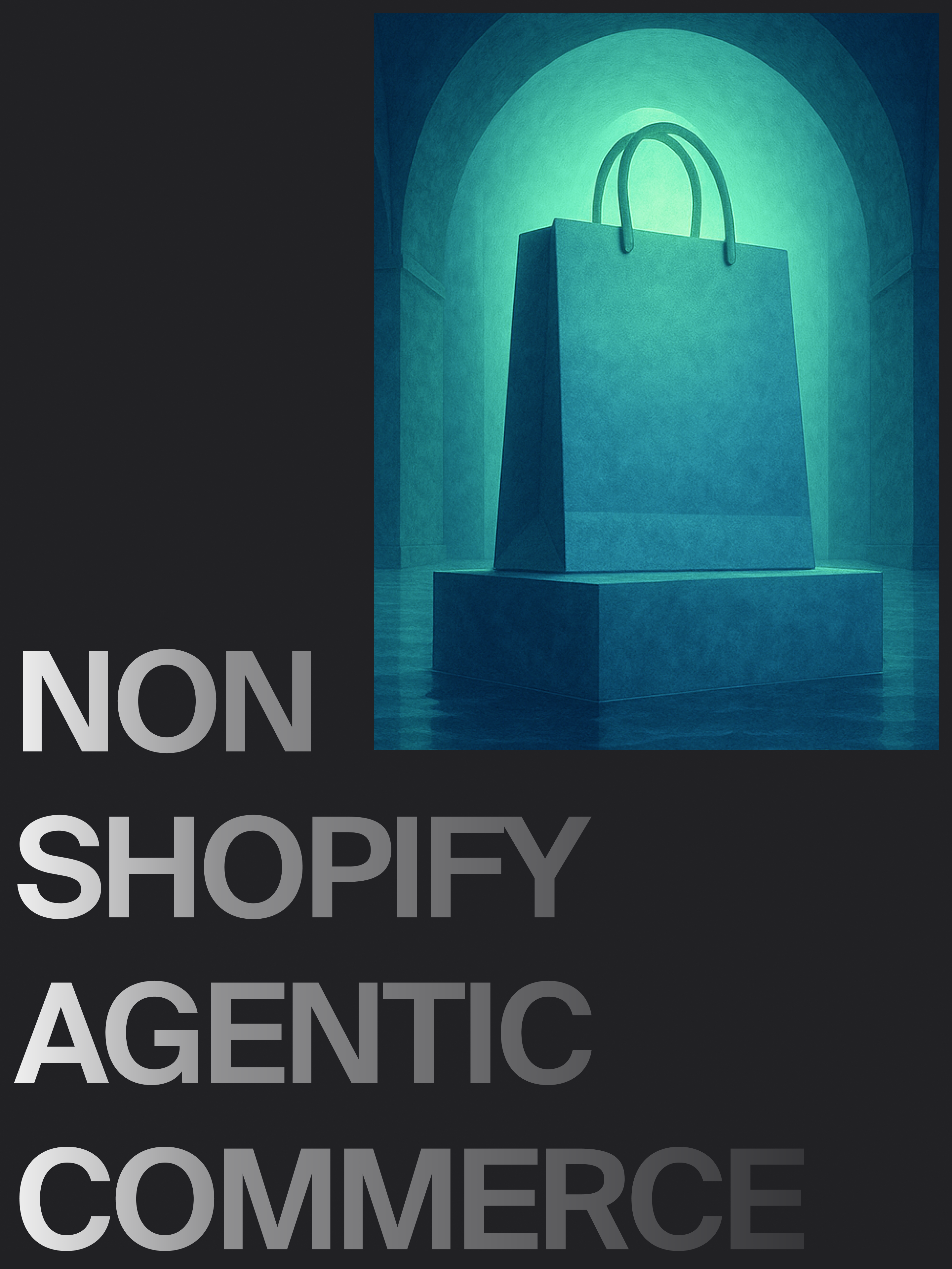 Image of a shopping bag with text "non shopify agentic commerce"