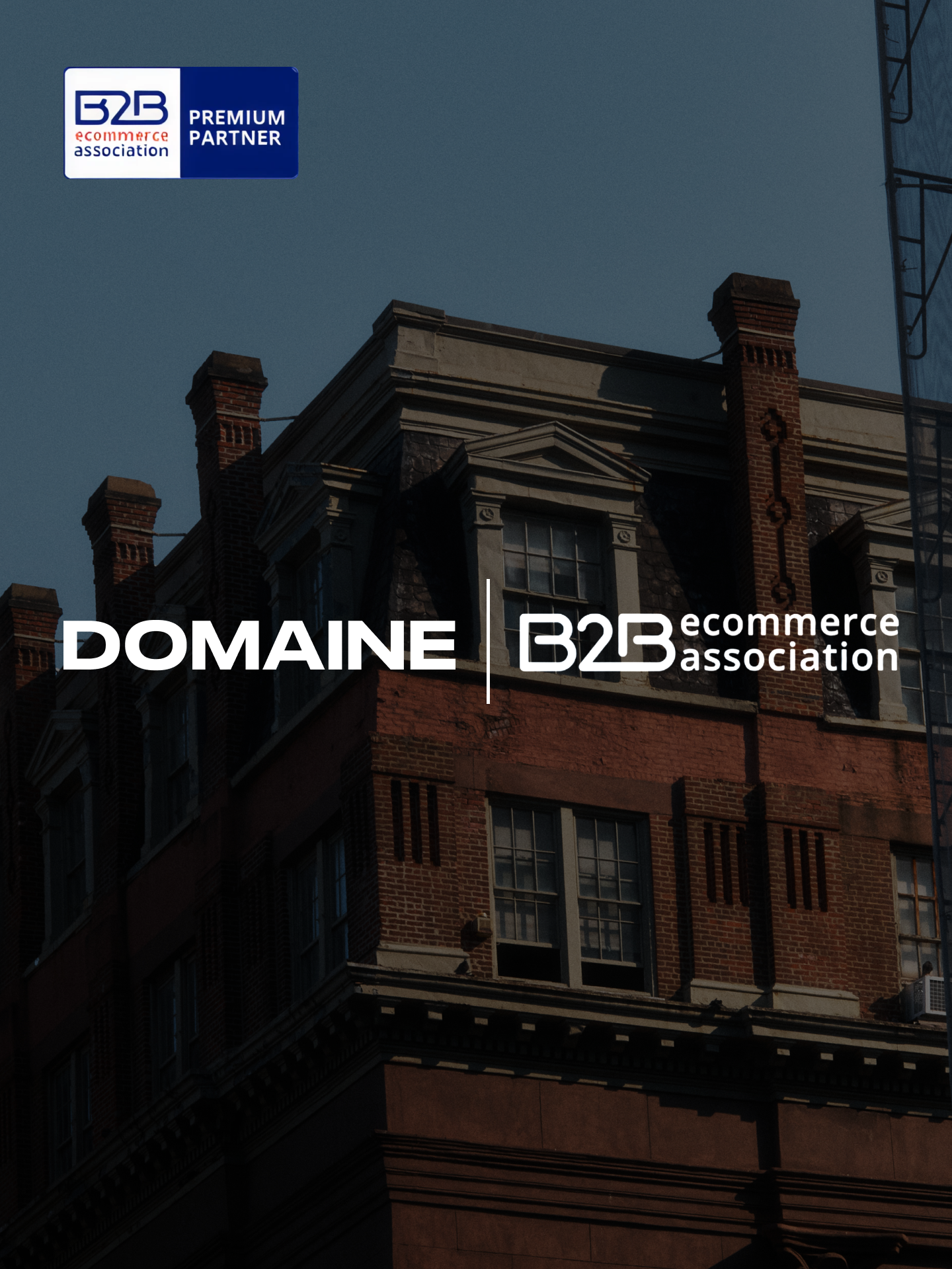 Domaine / B2B Ecommerce Association text over a New York building background