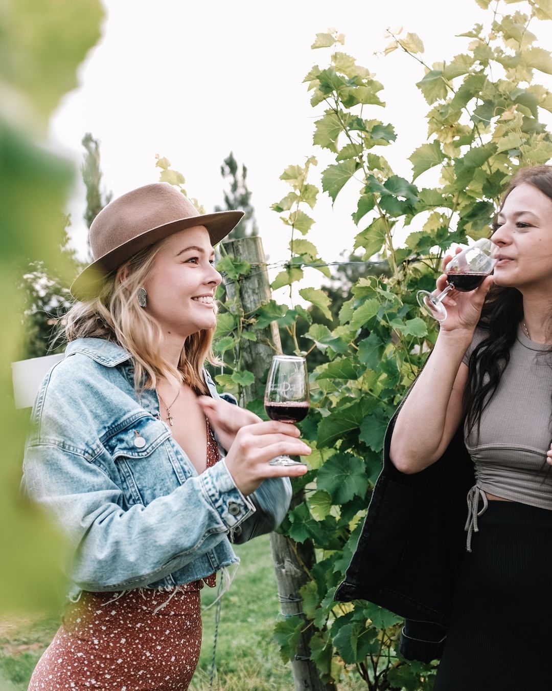 Women drinking wine