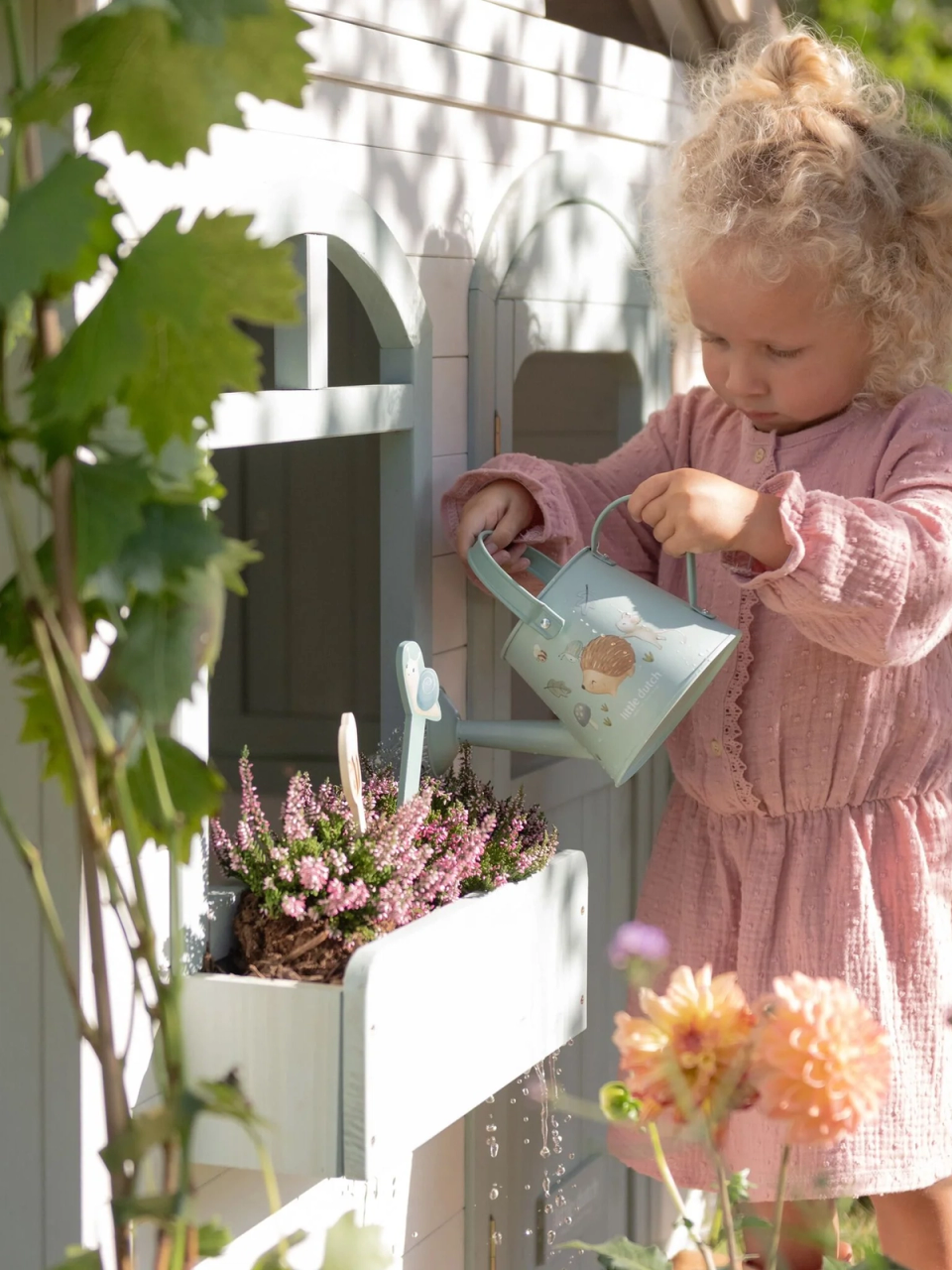 little dutch campaign