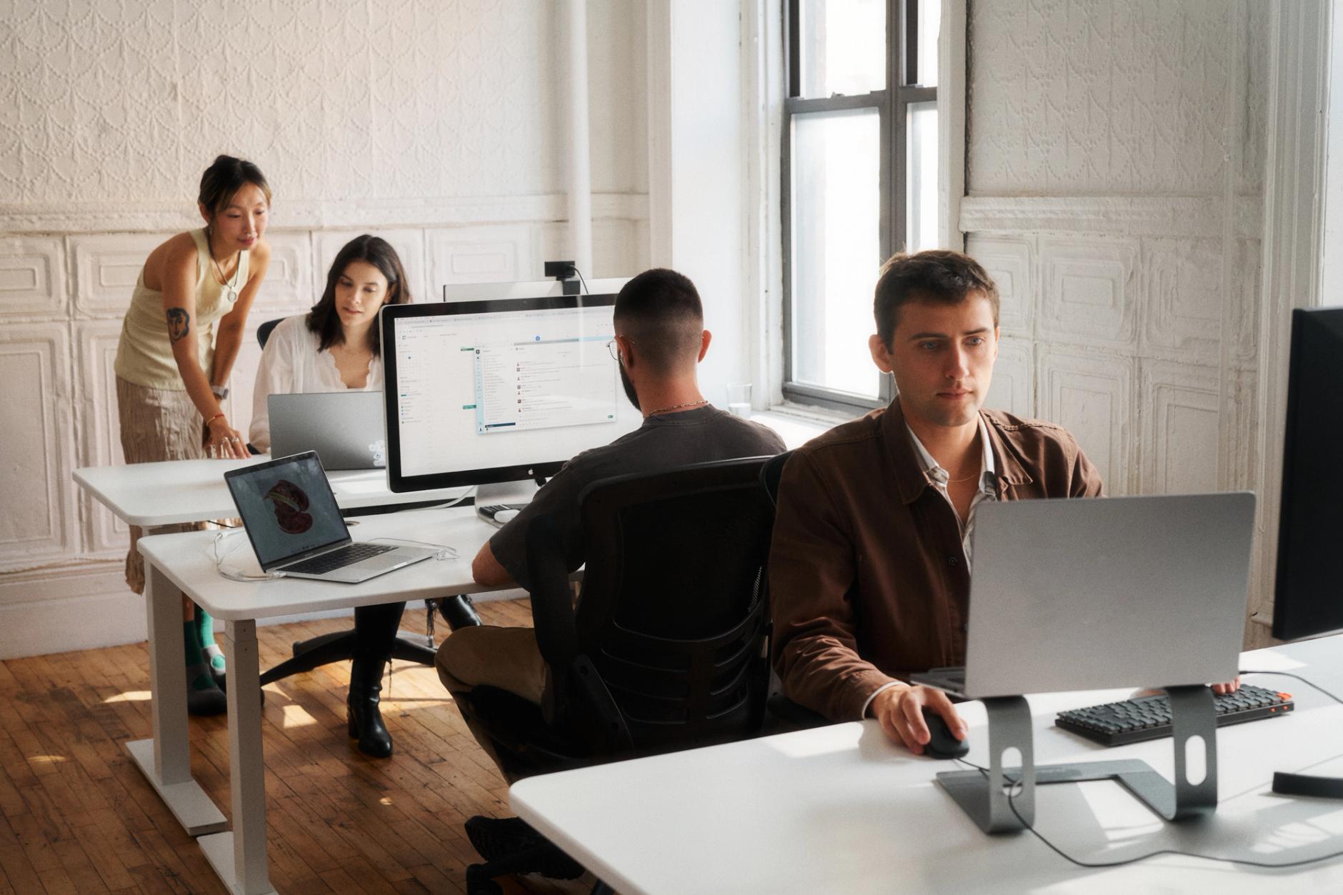 Domaine team working at office