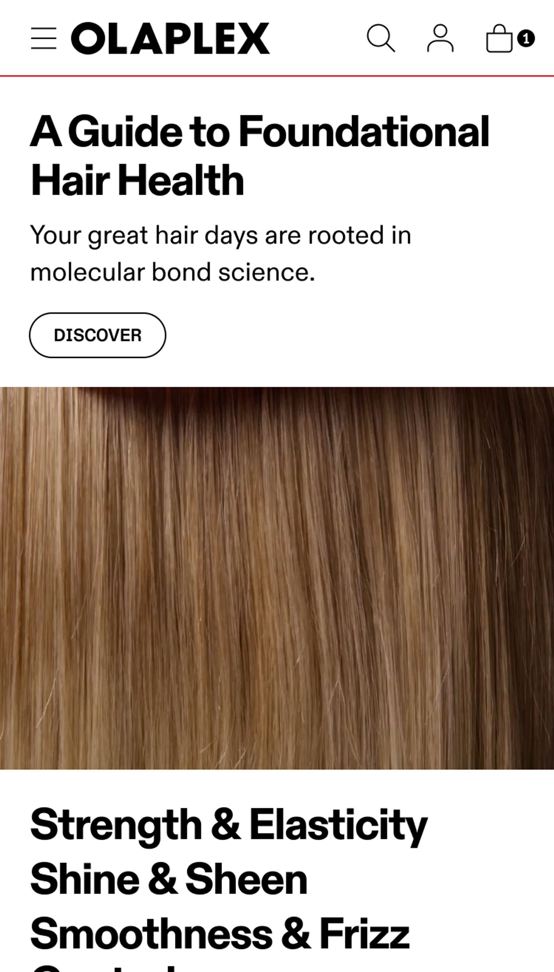 Screenshot of Olaplex Mobile Site Guide to Hair Health Section