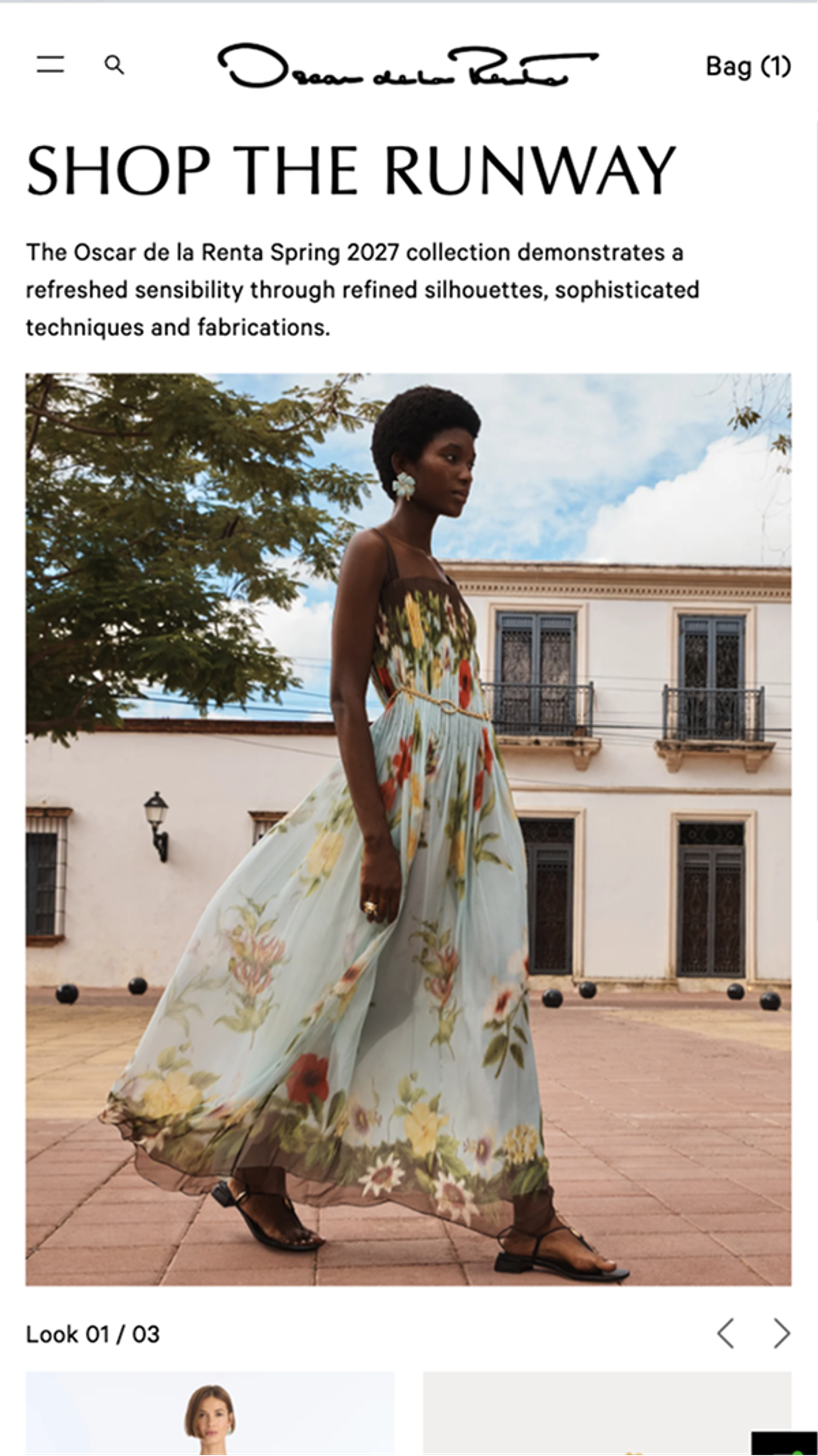 Shop the runway screenshot