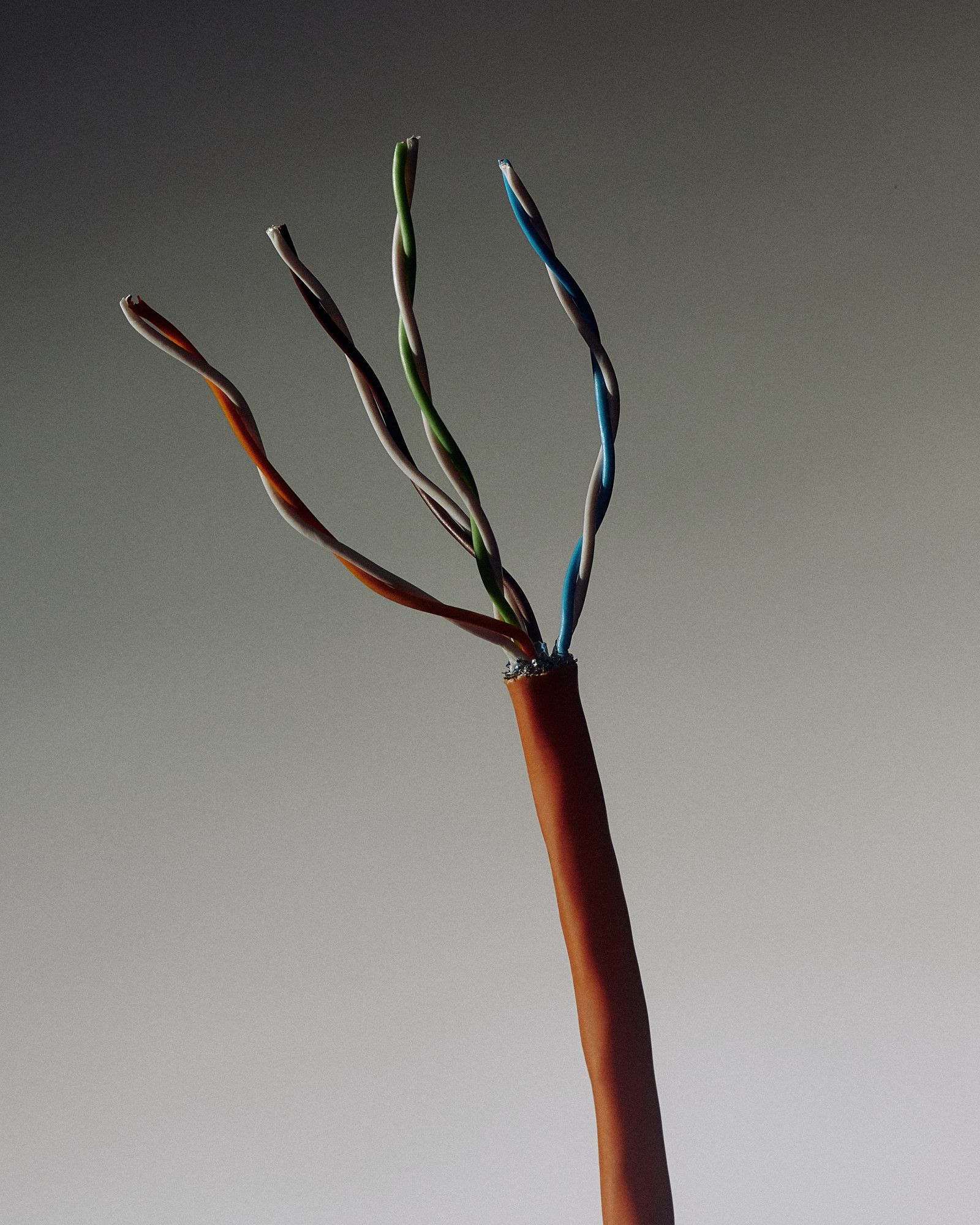 single wire split into four