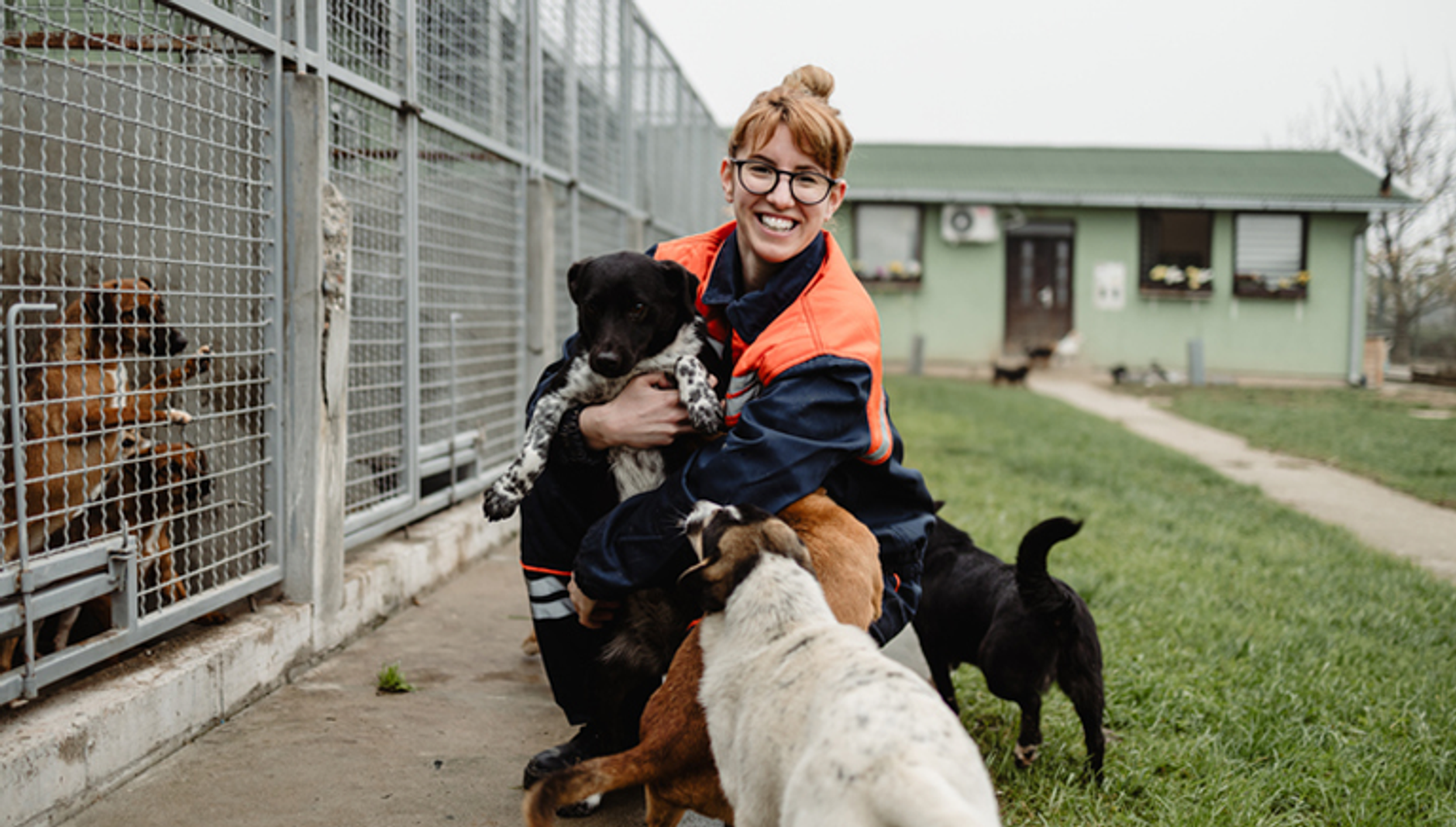 Hugging different dogs in shelter