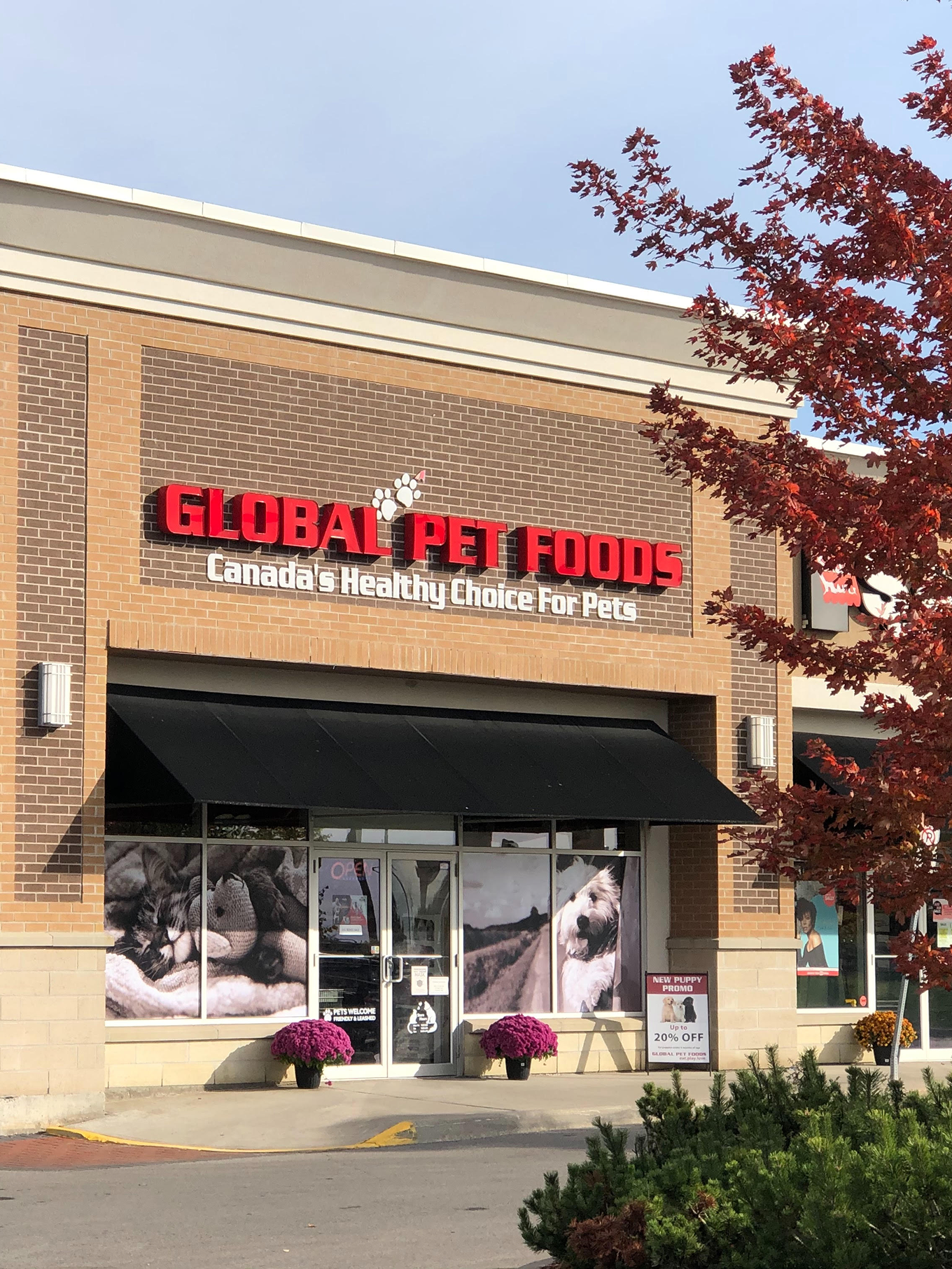 Global Pet Foods store 