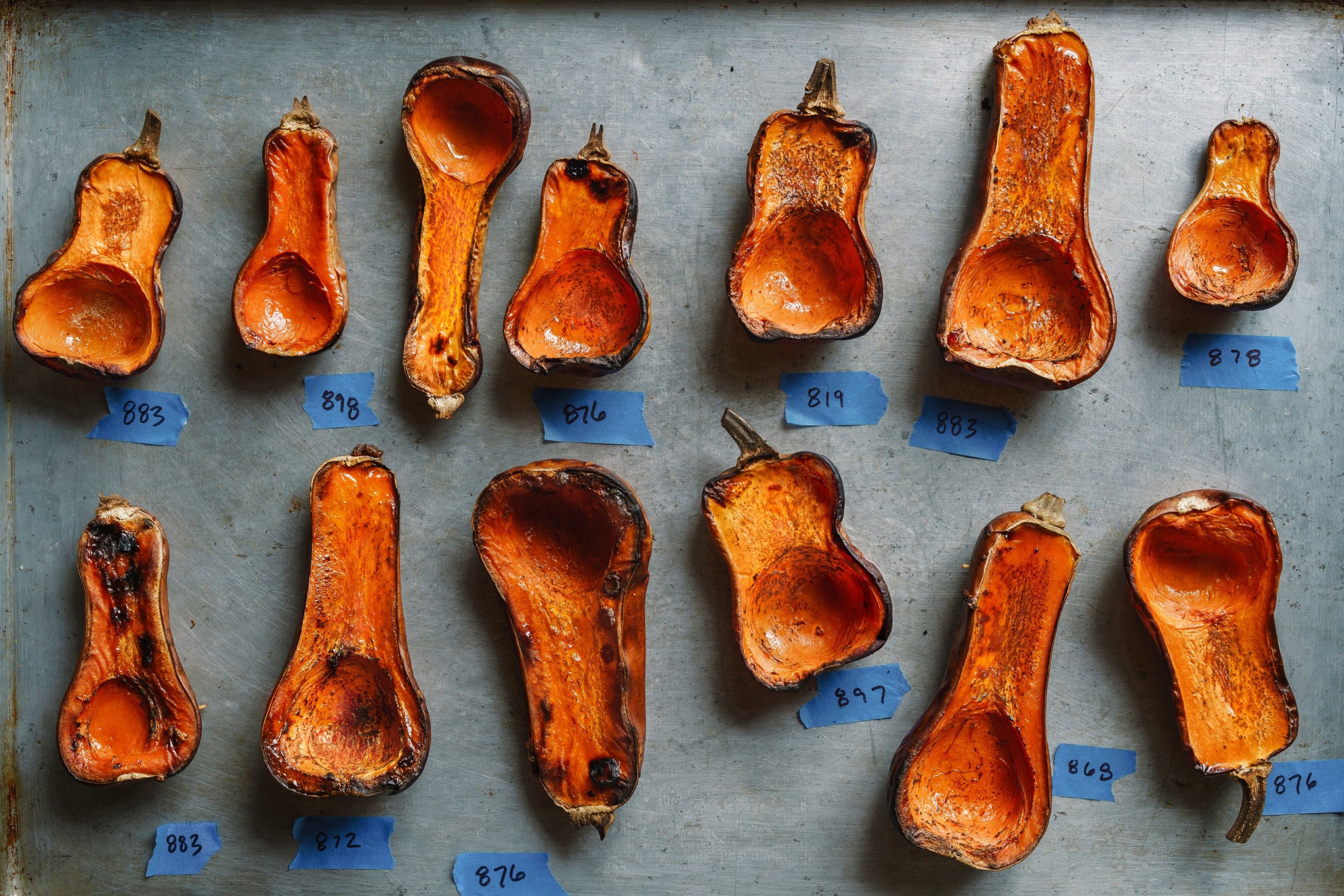 Photos of Squash cut in half