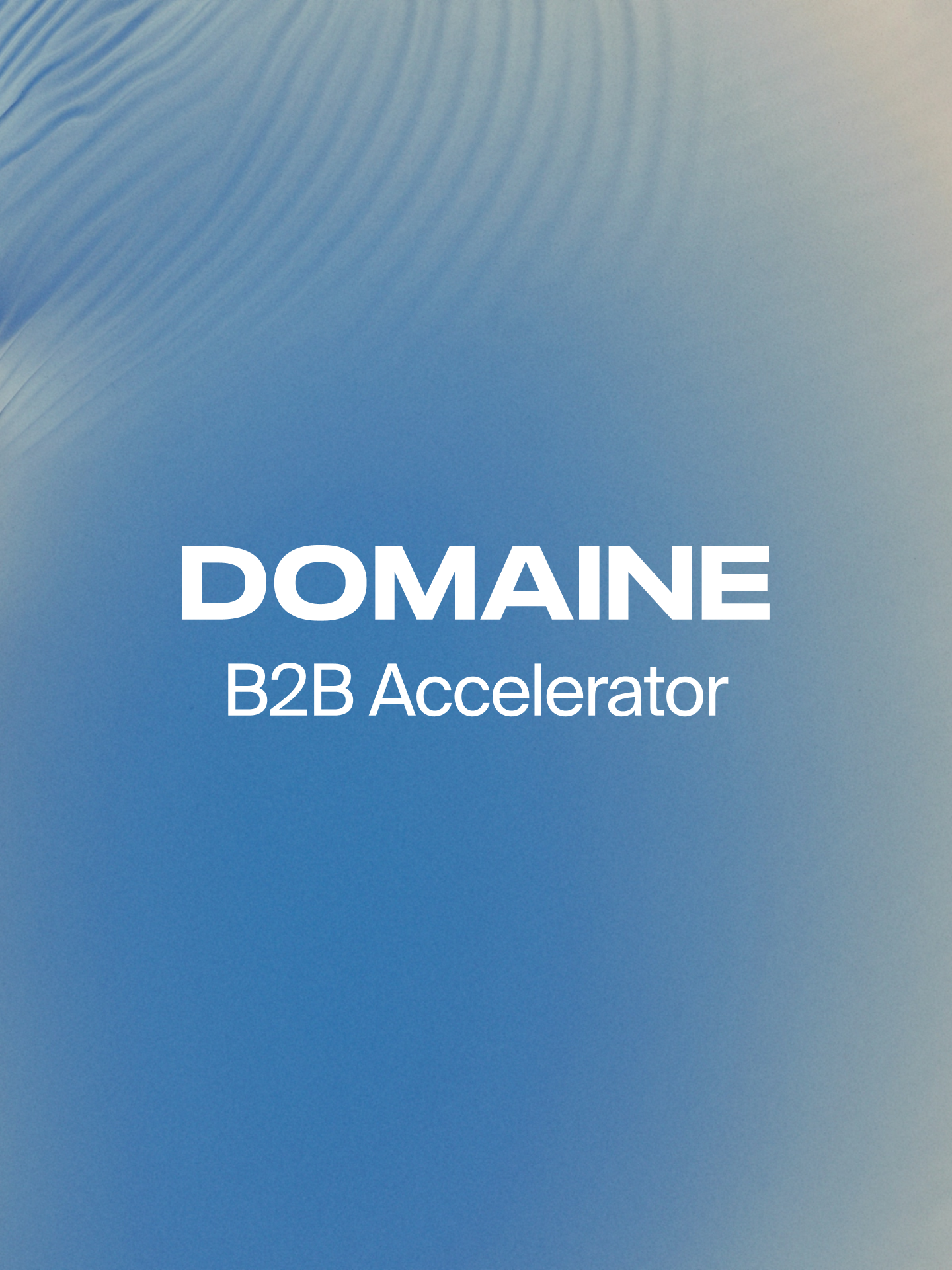 Domaine B2B Accelerator