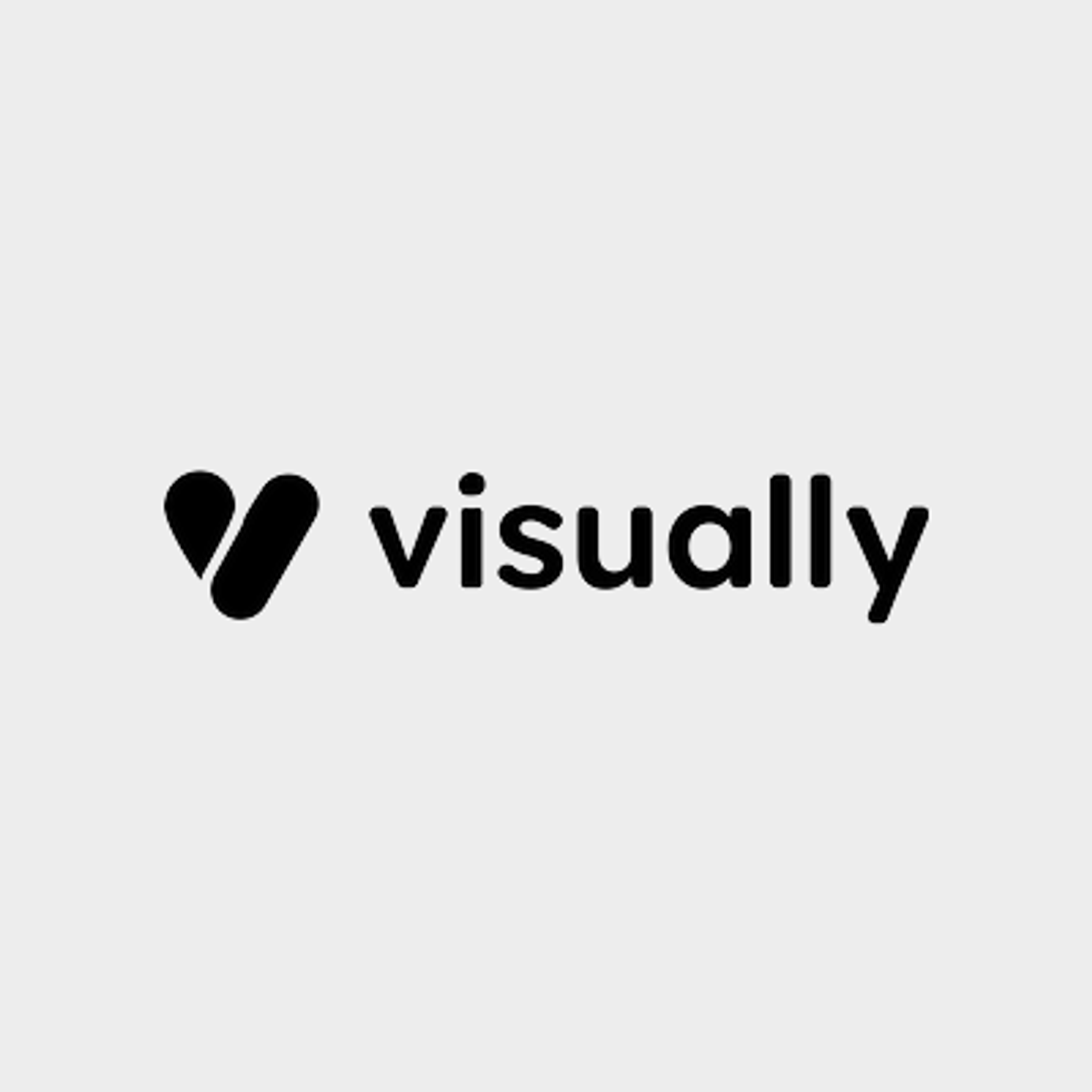 Visually logo
