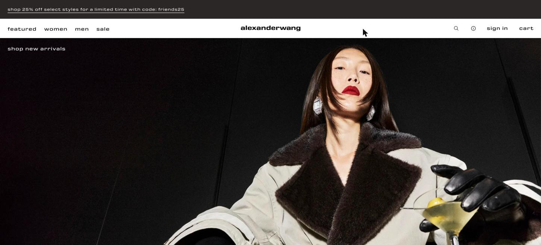 alexander wang homepage