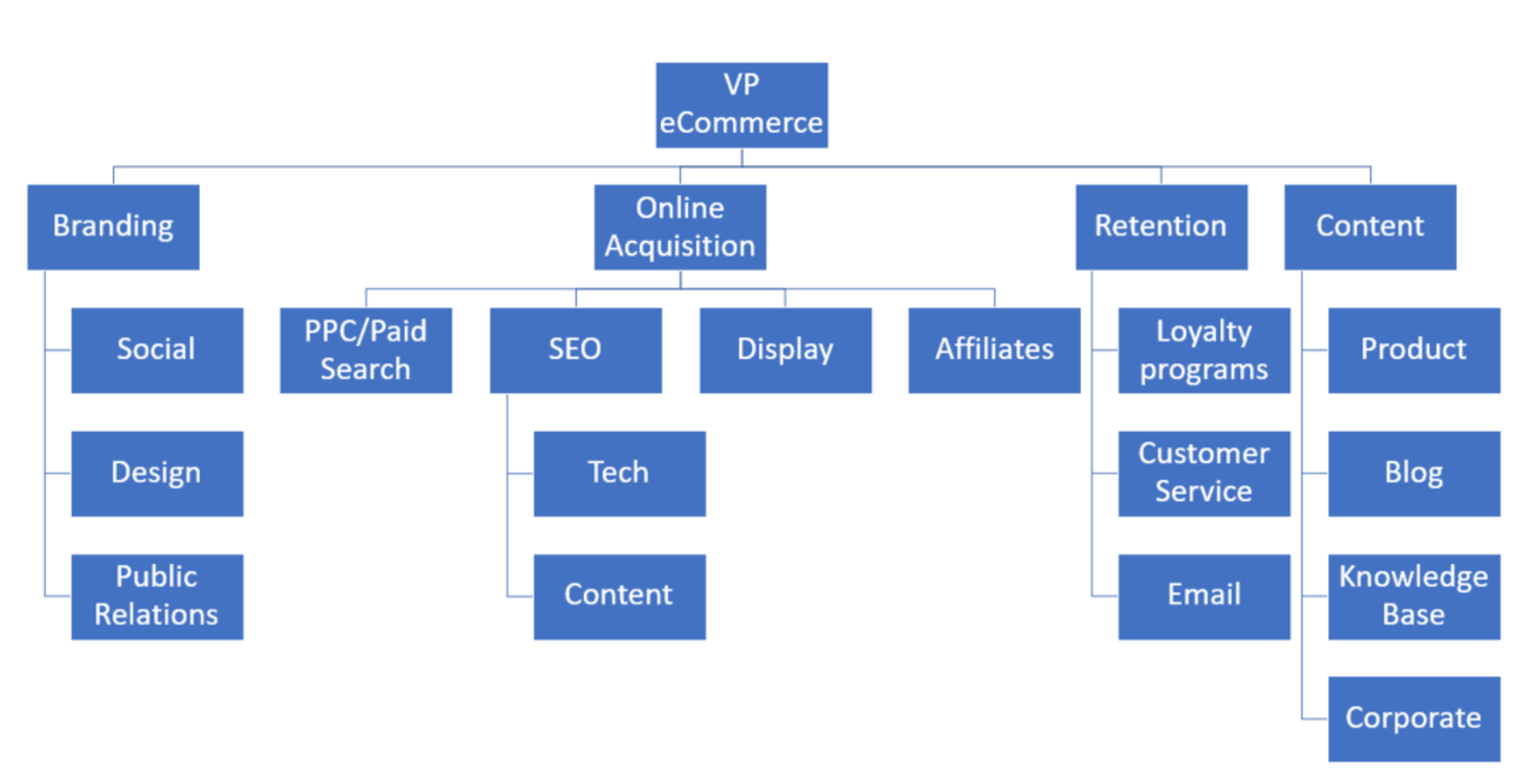 An example org structure headed by VP of ecommerce