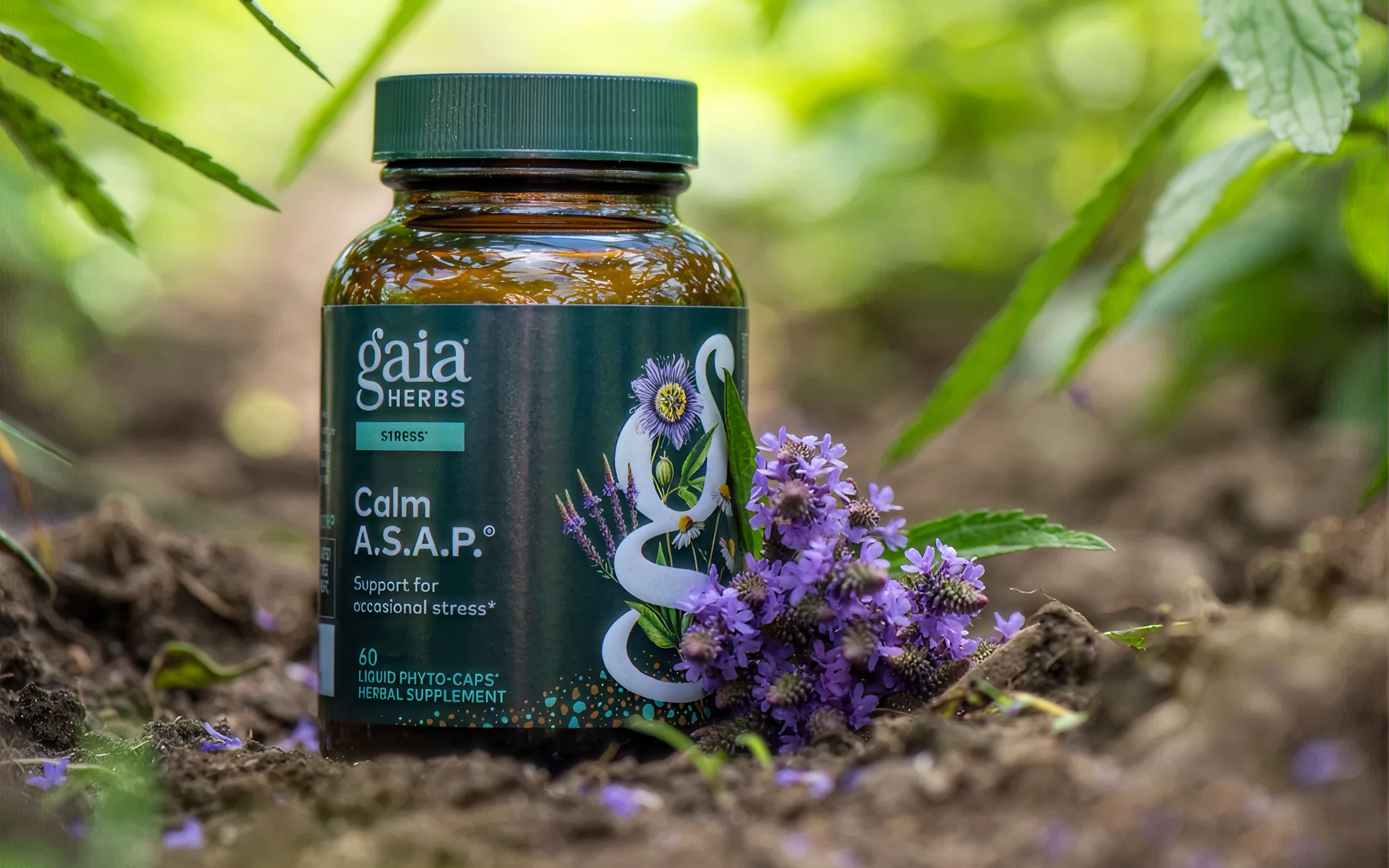 Gaia Herbs bottle product image surrounded by soil + flowers