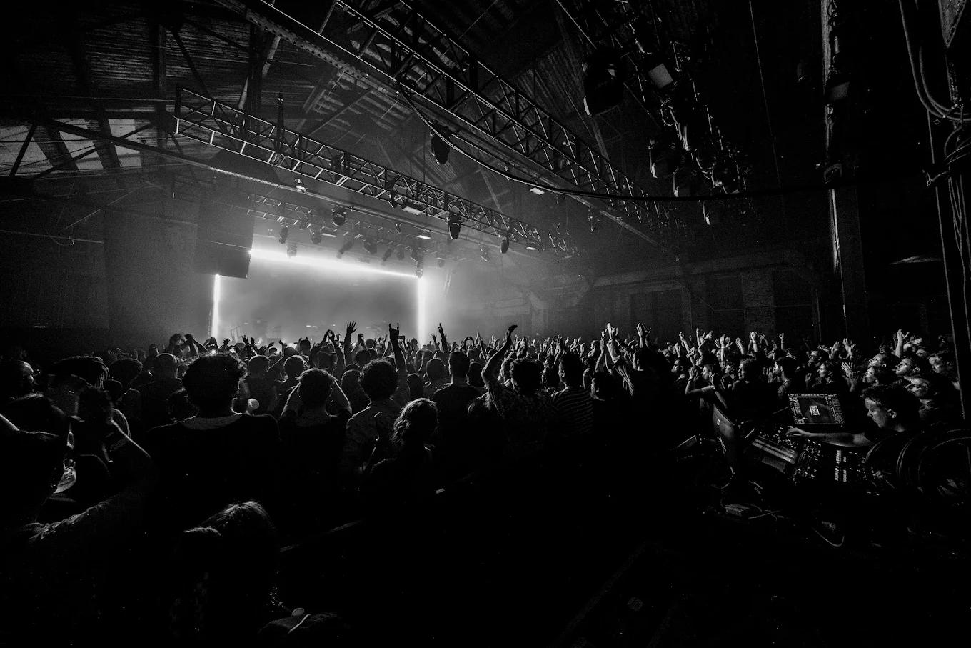 crowd at a concert