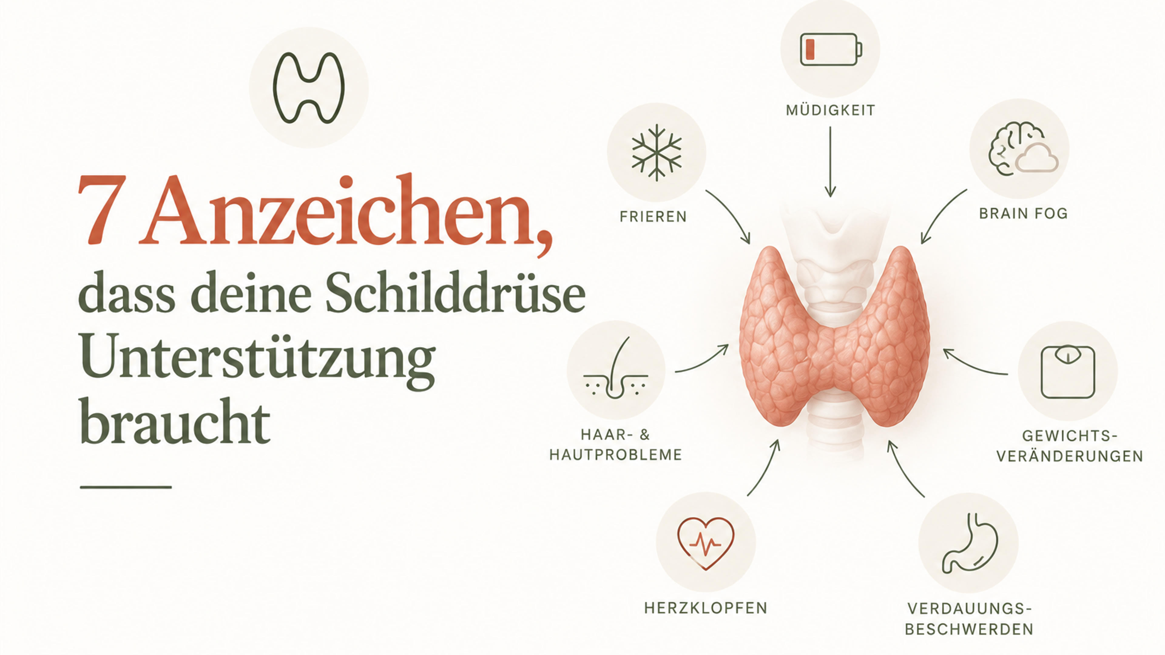 7 Anzeichen, dass deine Schilddrüse Unterstützung braucht – Schaubild einer Schilddrüse mit möglichen Anzeichen wie Müdigkeit, Frieren, Brain Fog, Gewichtsveränderungen, Haar- und Hautproblemen, Herzklopfen und Verdauungsbeschwerden.