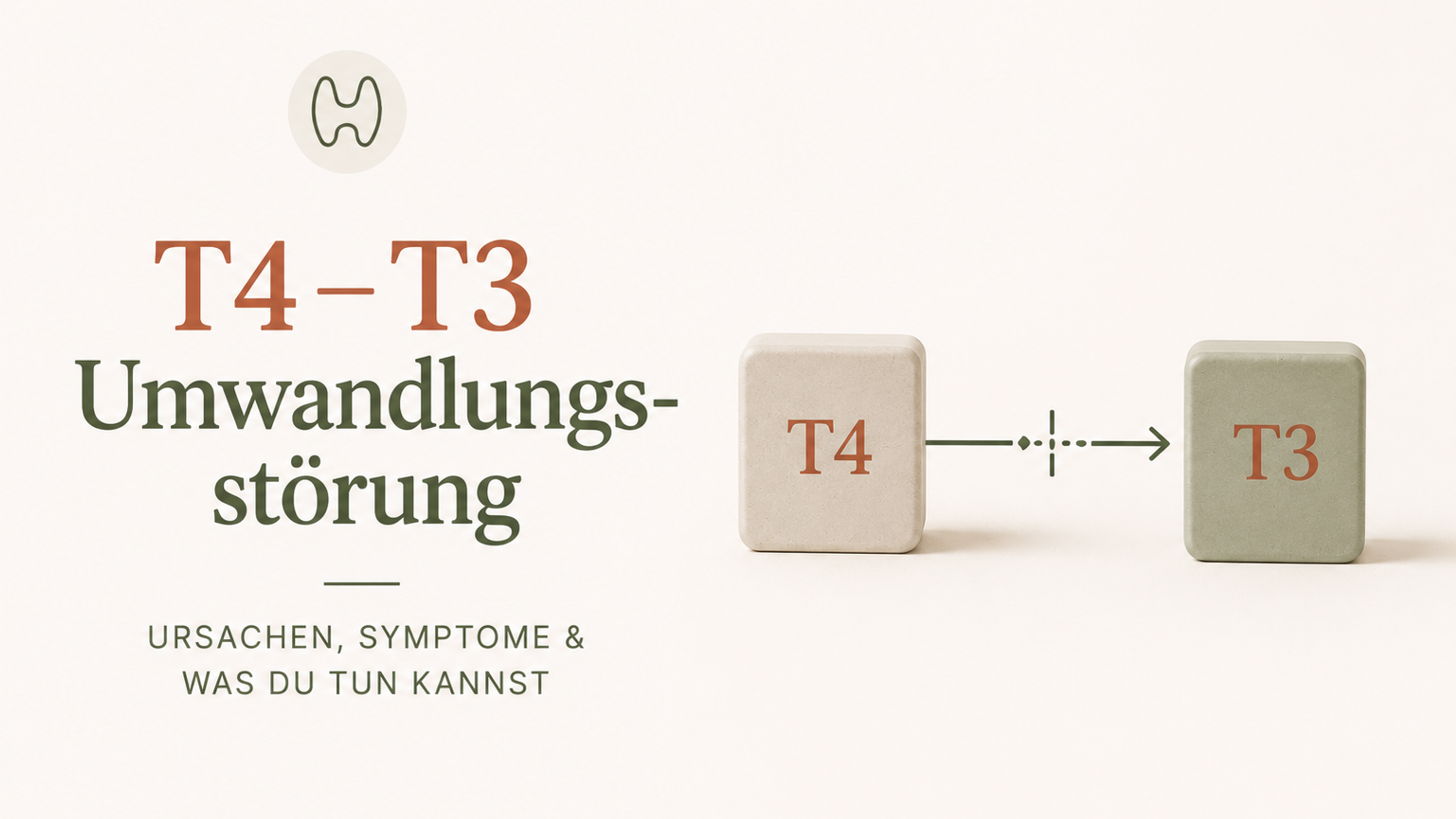 T4-T3-Umwandlungsstörung bei Hashimoto – Darstellung der gestörten Umwandlung des Schilddrüsenhormons T4 in T3.