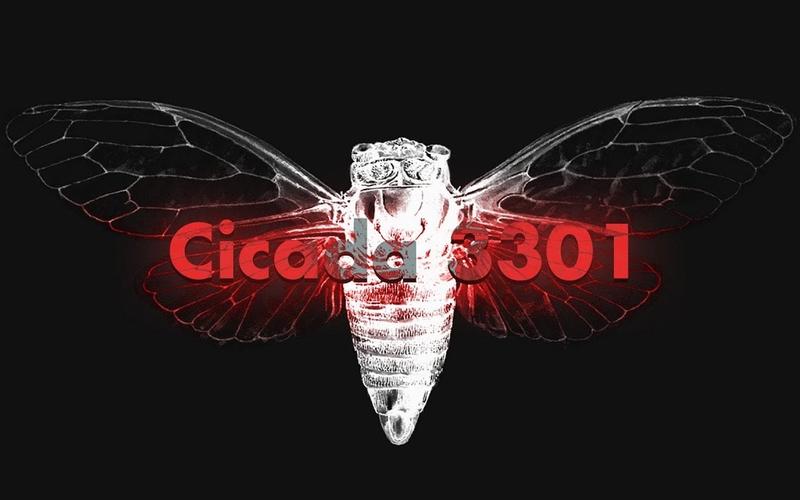 Cicada 3301