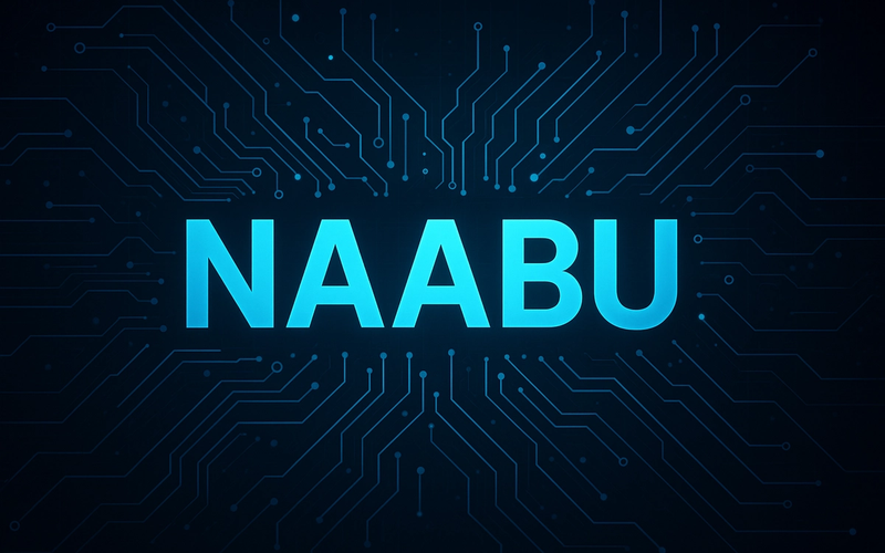 Descubre Naabu Port Scanner