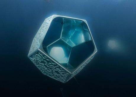  Swim-through underwater sculptures aim to promote sea-change 