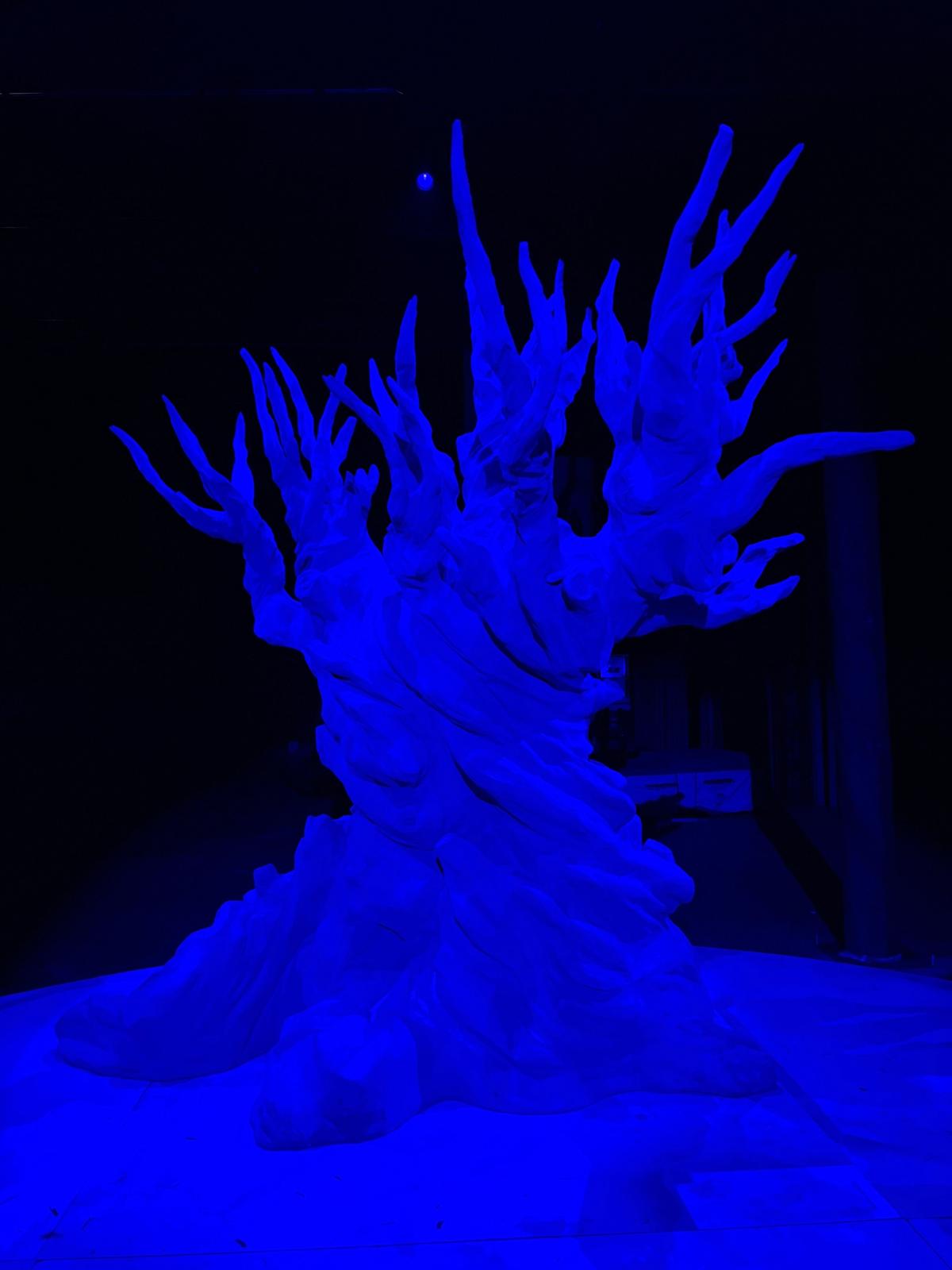 Installation photos, A Forest for the Trees Photos by Aaron Mendez