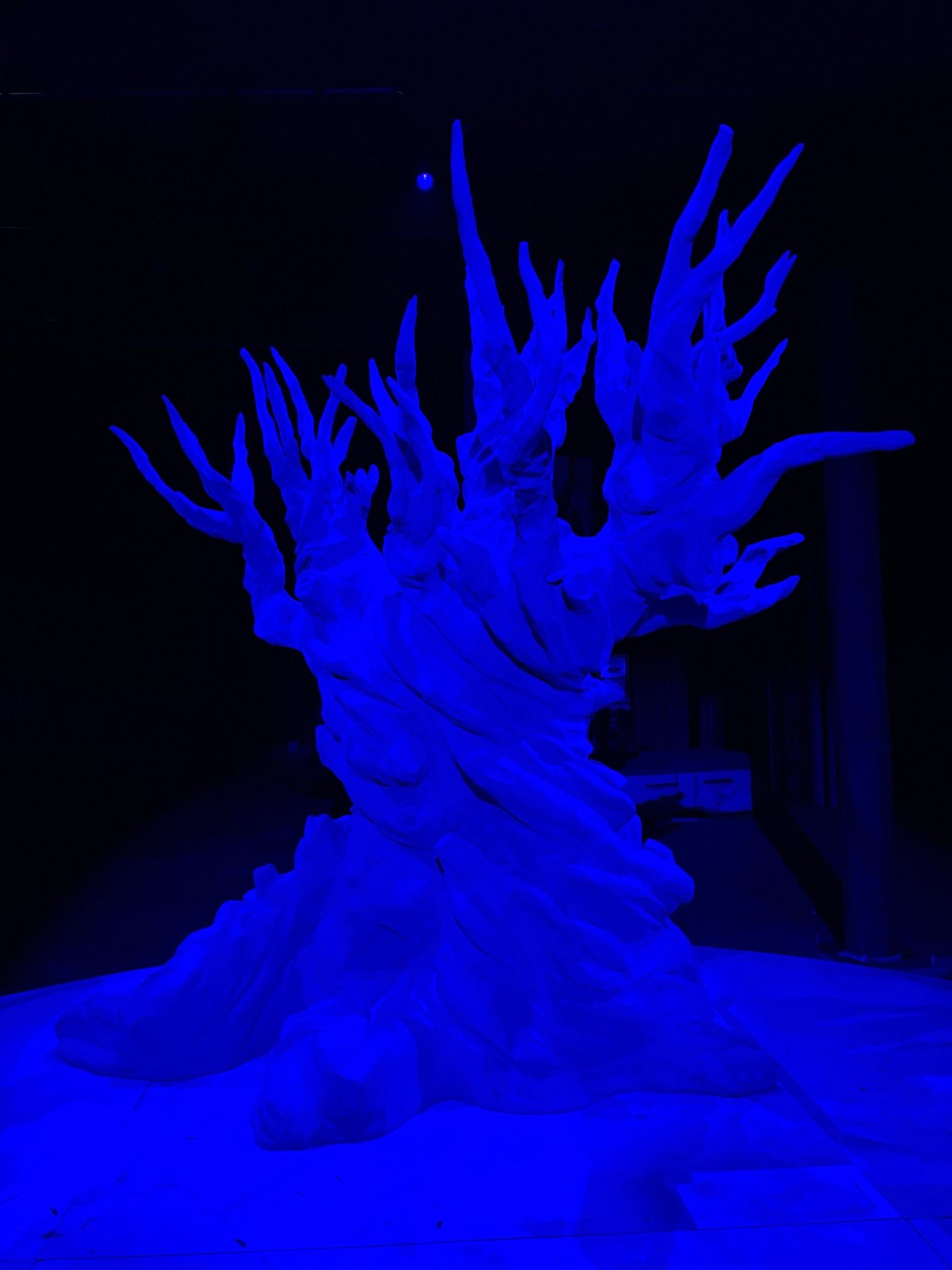 Installation photos, A Forest for the Trees Photos by Aaron Mendez