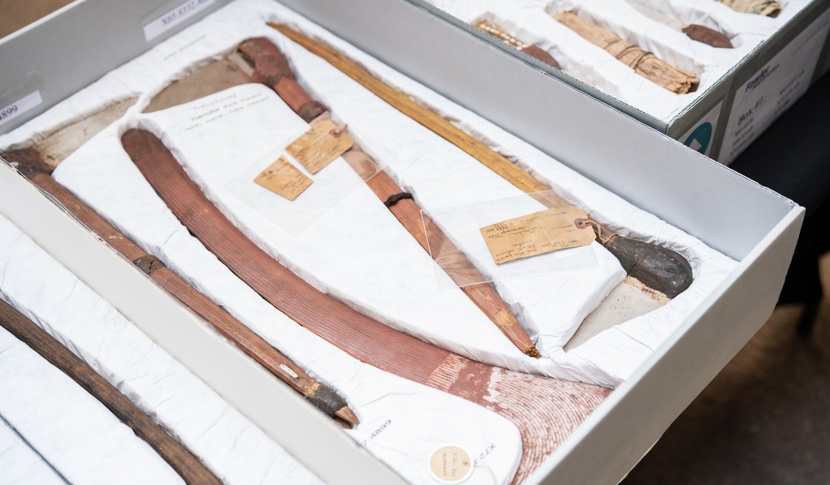 Several of the returned objects were displayed—including the prized wartilykirri (hooked boomerang)—at the repatriation ceremony at the Fowler Museum at UCLA Photo: David Esquivel/UCLA