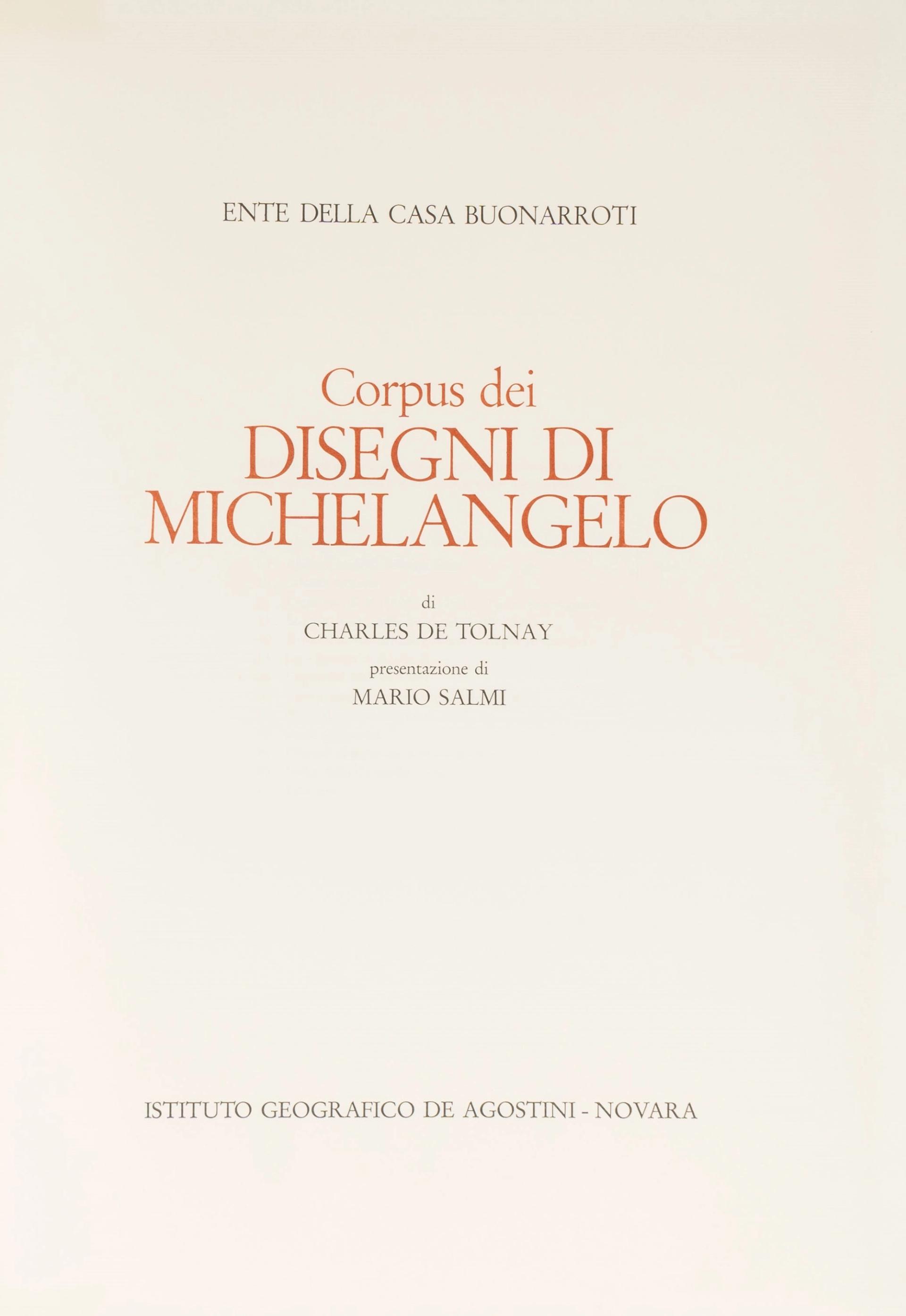 essays about michelangelo