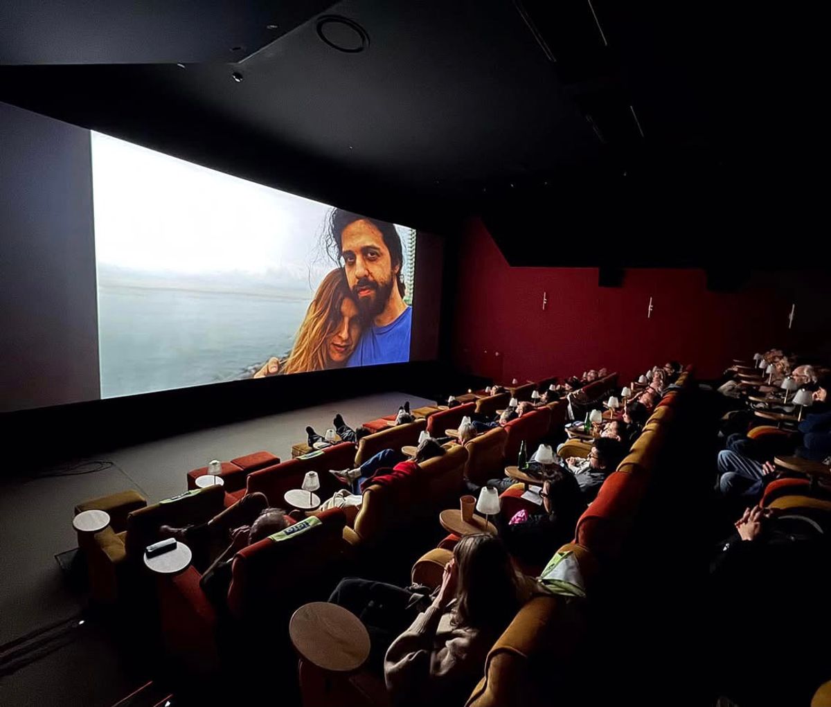 A screening of Chronicles of the Absurd at the 2024 International Documentary Film Festival Amsterdam Photo: David Leitner