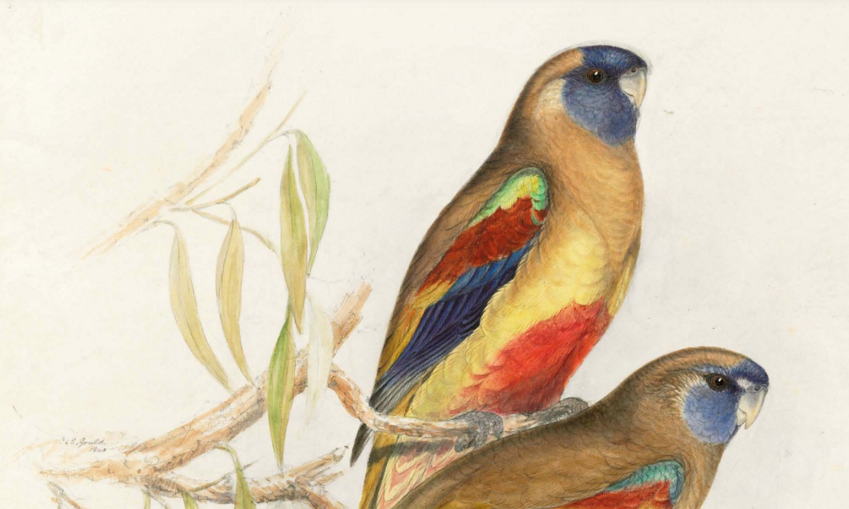 ‘Will it find yourself on a yacht—or in a museum?’ Artwork export licences ought to be reformed, suggests UK arts minister ‘Will it find yourself on a yacht—or in a museum?’ Artwork export licences ought to be reformed, suggests UK arts minister