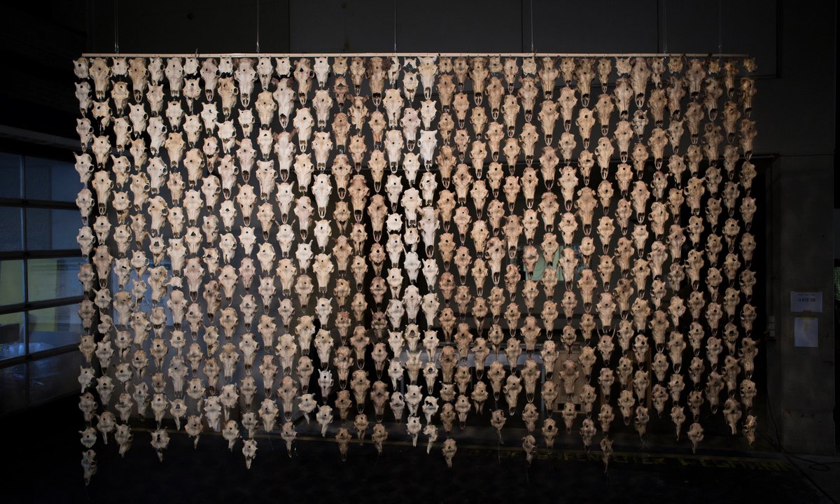 Northern Sámi artist Máret Ánne Sara —known for highlighting ecological concerns —will take over Tate Modern’s Turbine Hall this autumn – The Art Newspaper Northern Sámi artist Máret Ánne Sara —known for highlighting ecological concerns —will take over Tate Modern’s Turbine Hall this autumn – The Art Newspaper