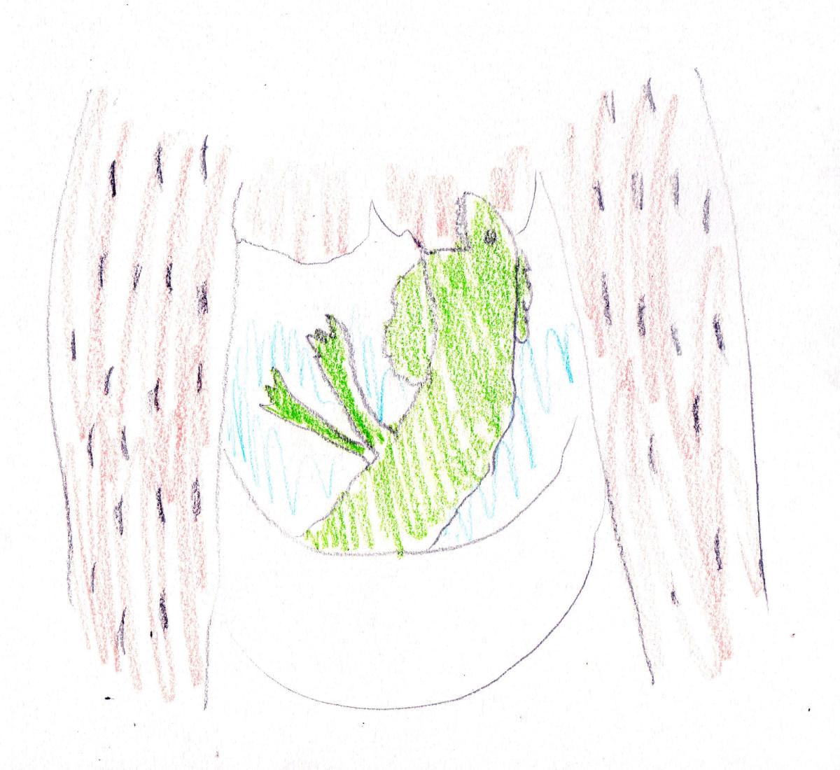 A drawing by the artist Zardulu tied to her piece The Usurping of Ouranos, which also includes a viral video of an iguana that supposedly came out of toilet in Miami and bit a man on the testicles Zardulu, the Mythmaker