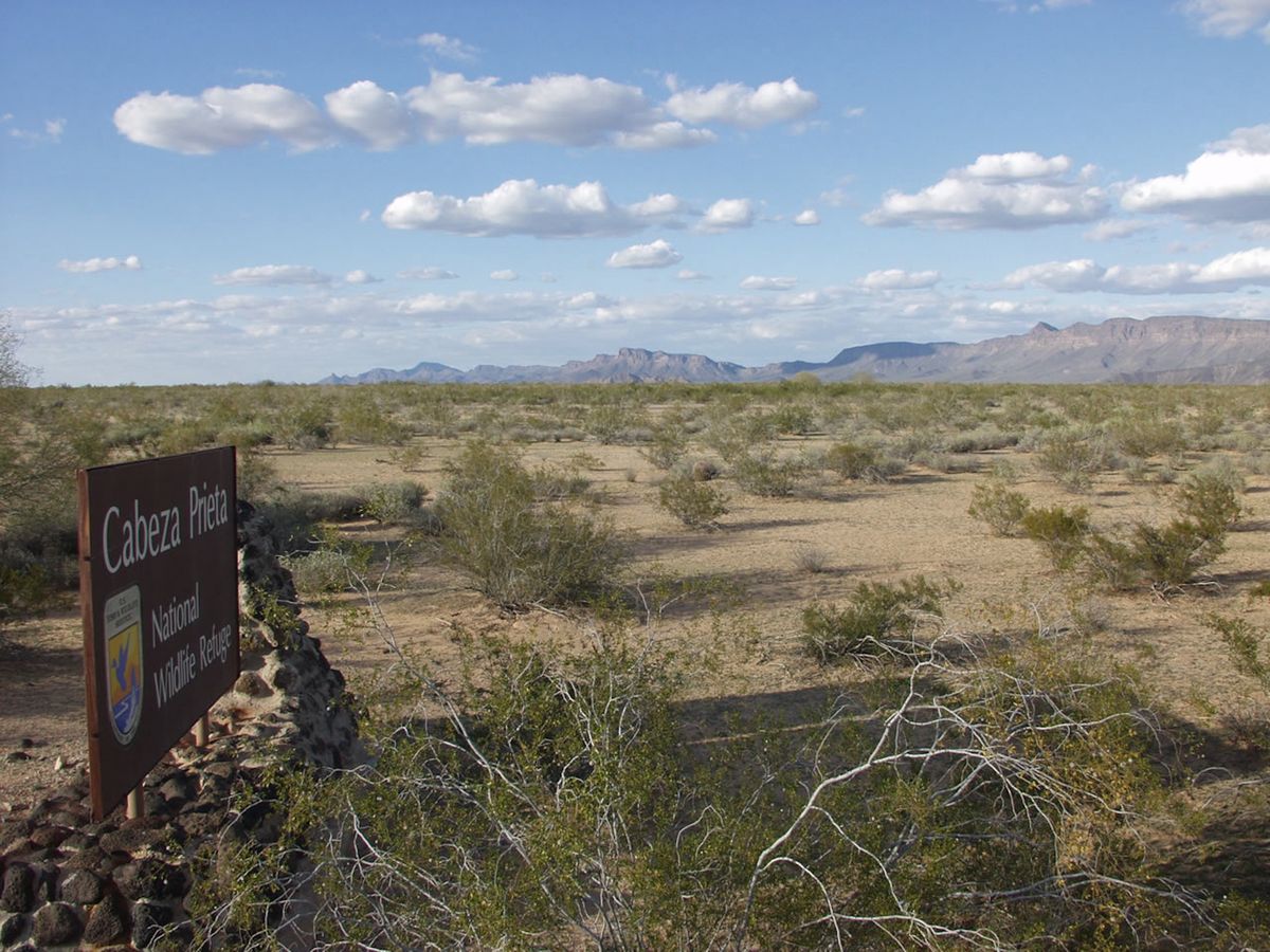 The Cabeza Prieta Wildlife Refuge, where a 1,000-year-old intaglio was recently bulldozed during construction the Mexico-US border wall Photo by Dan Sorensen, via Wikimedia Commons
